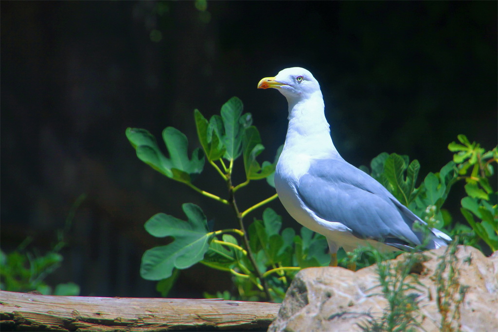 Con i bambini allo Zoo 8