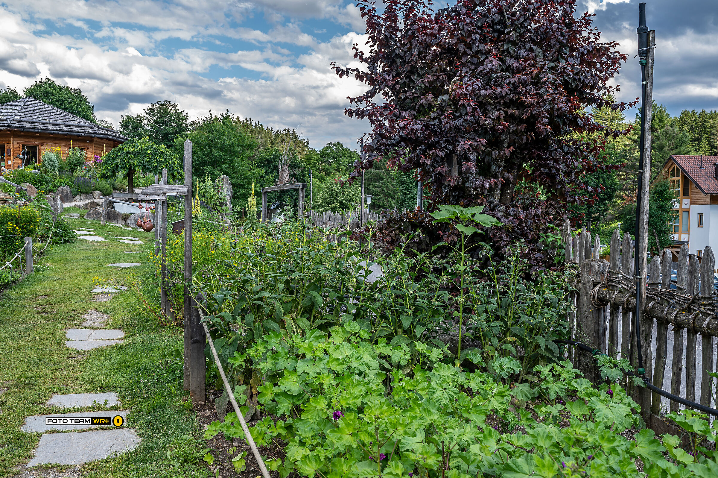 giornata dei giardini aperti a Falzes - 10/11 luglio 21