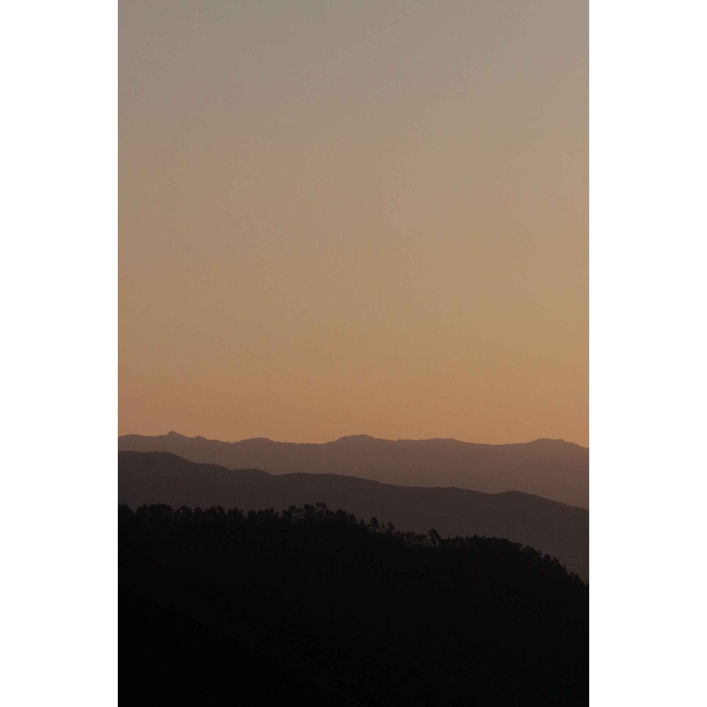 Dawn