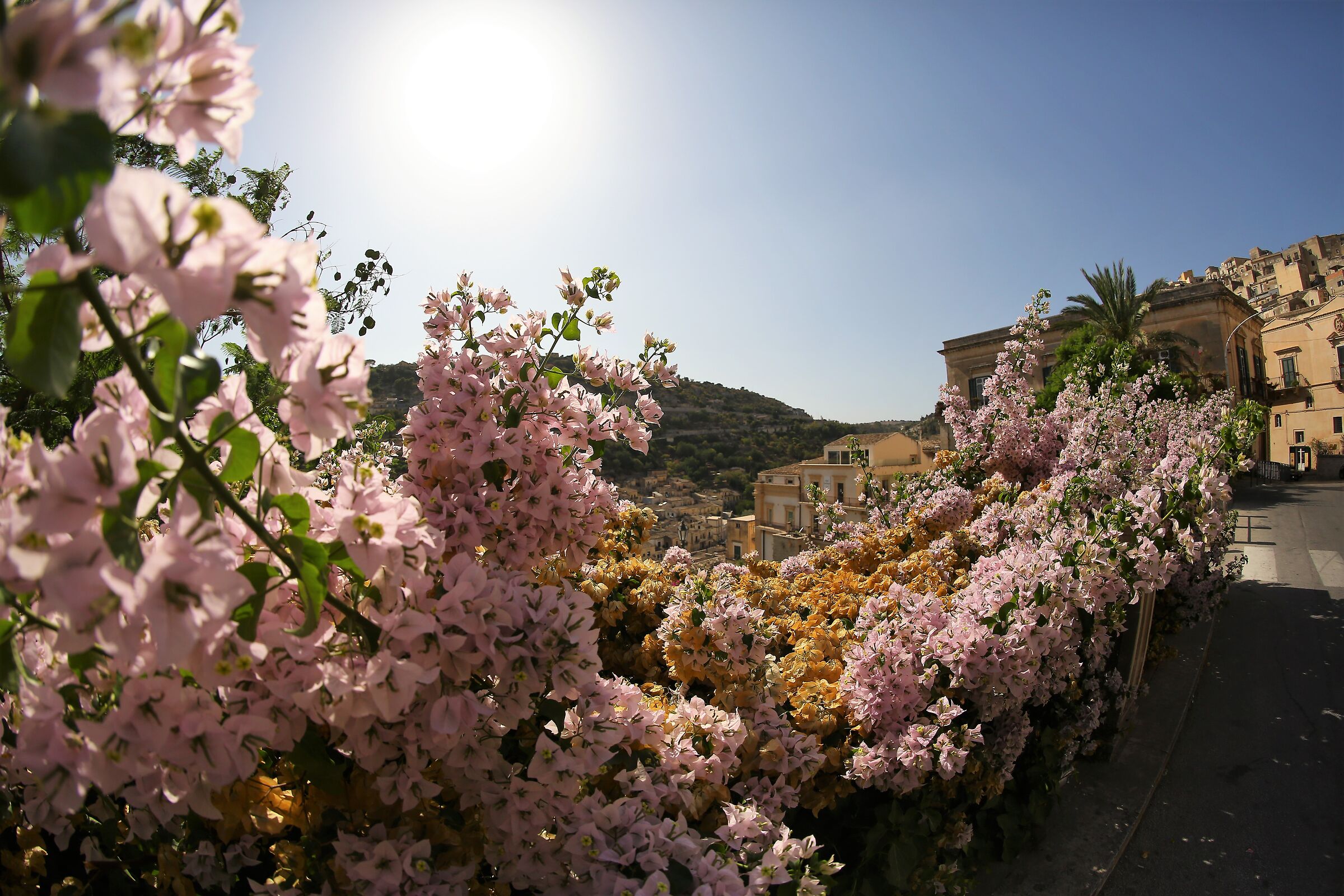 Ai piedi del Duomo di S. Giorgio di Modica