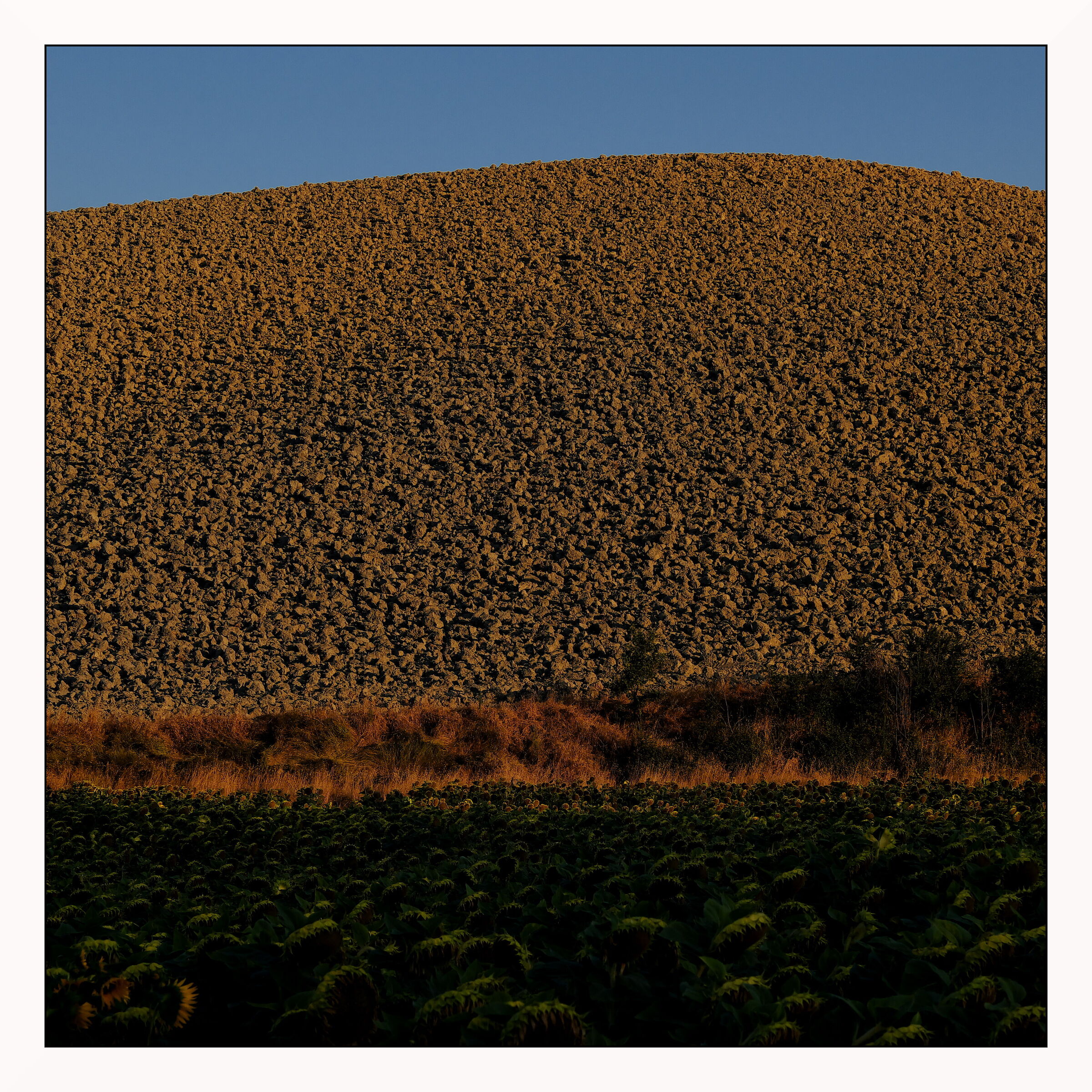 Terra nuda al sorger del sole