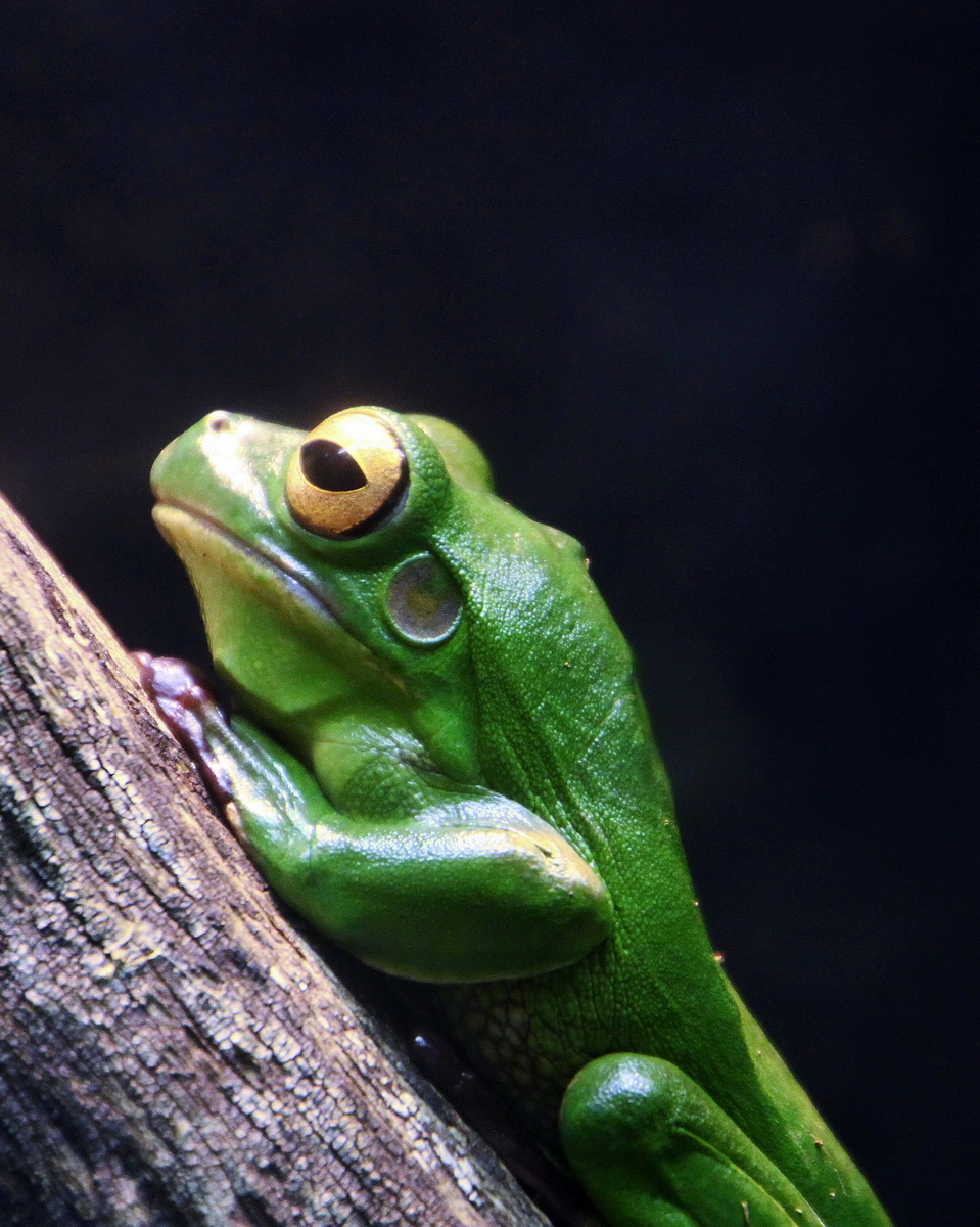 Con i bambini allo Zoo 12