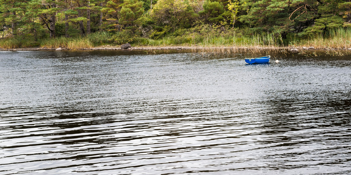 lough leane