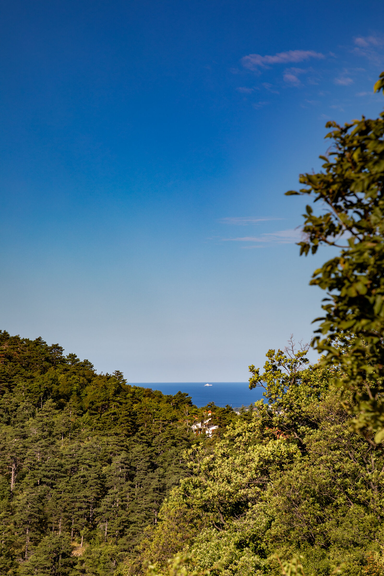 val rosandra
