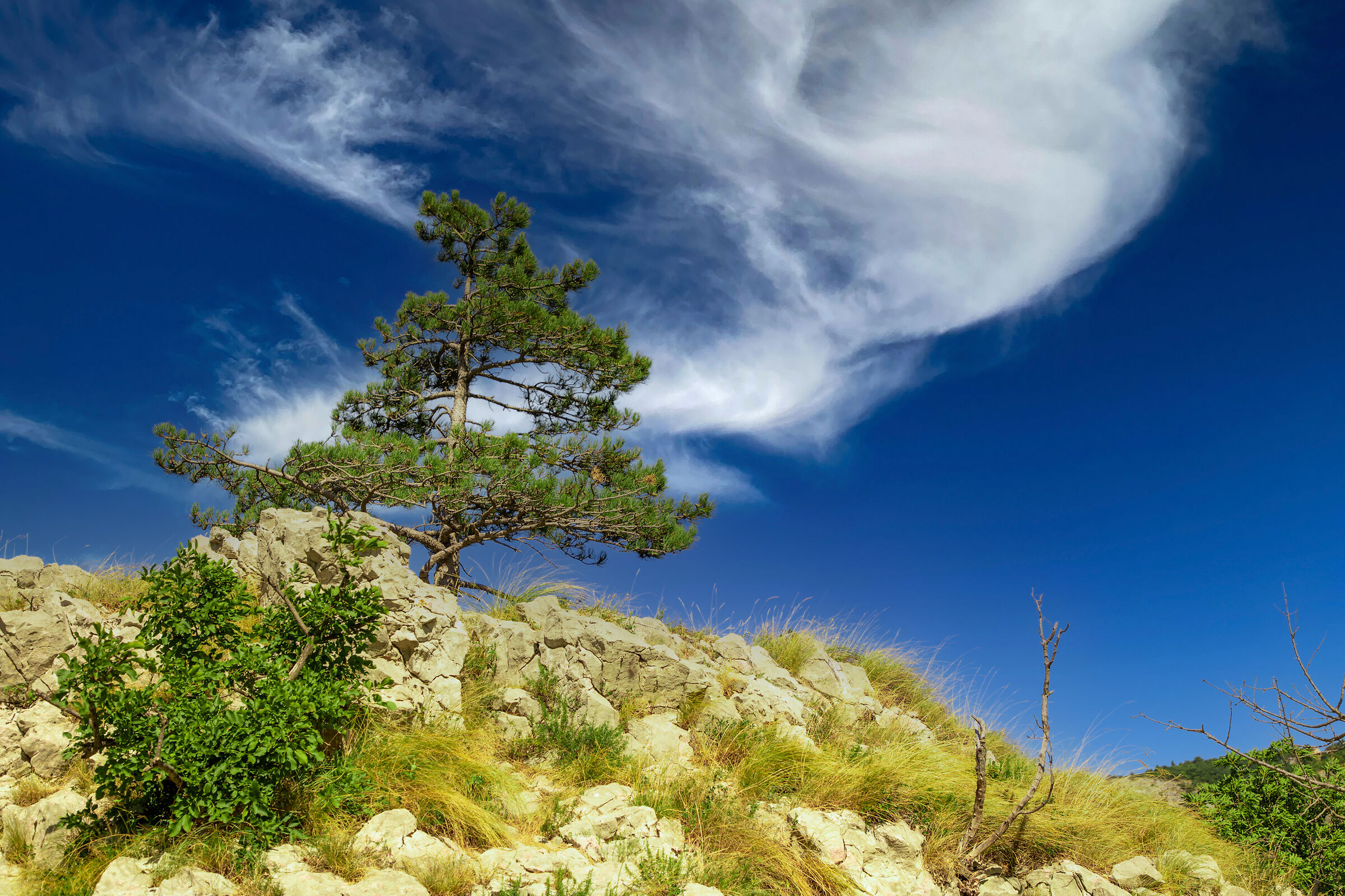 val rosandra sky