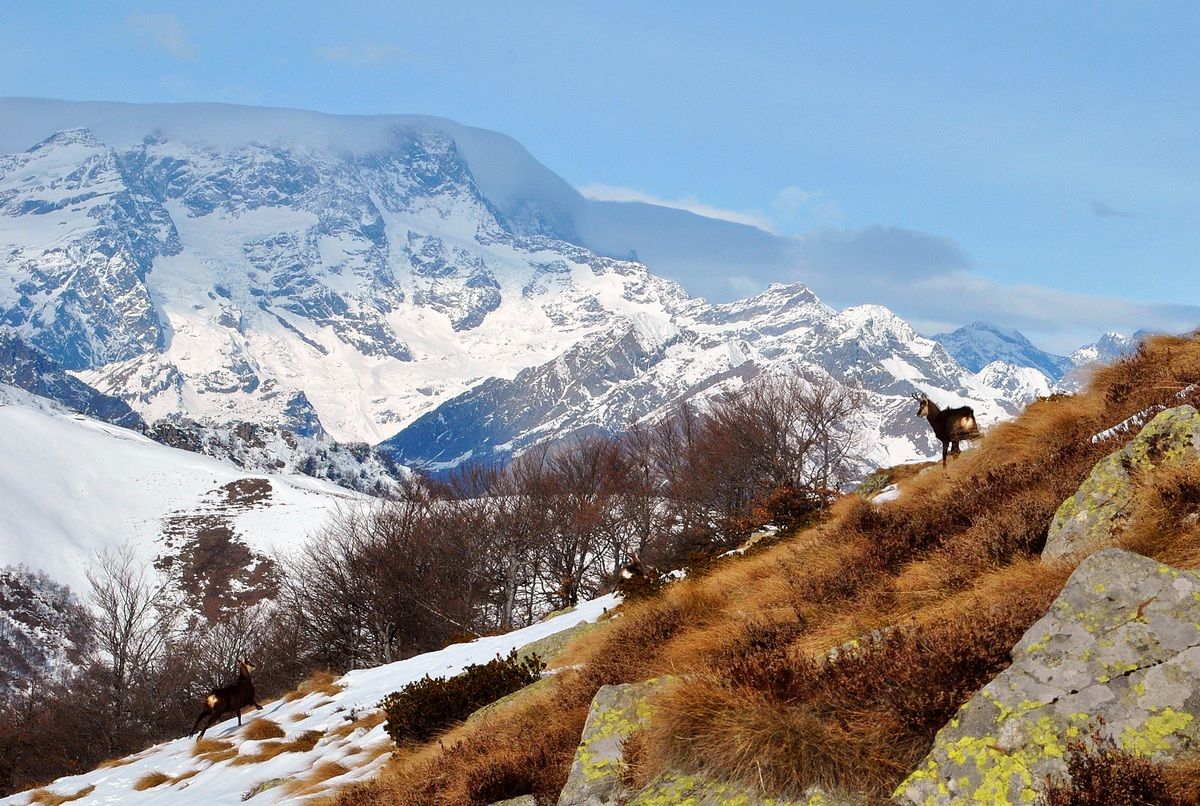 one step away from heaven