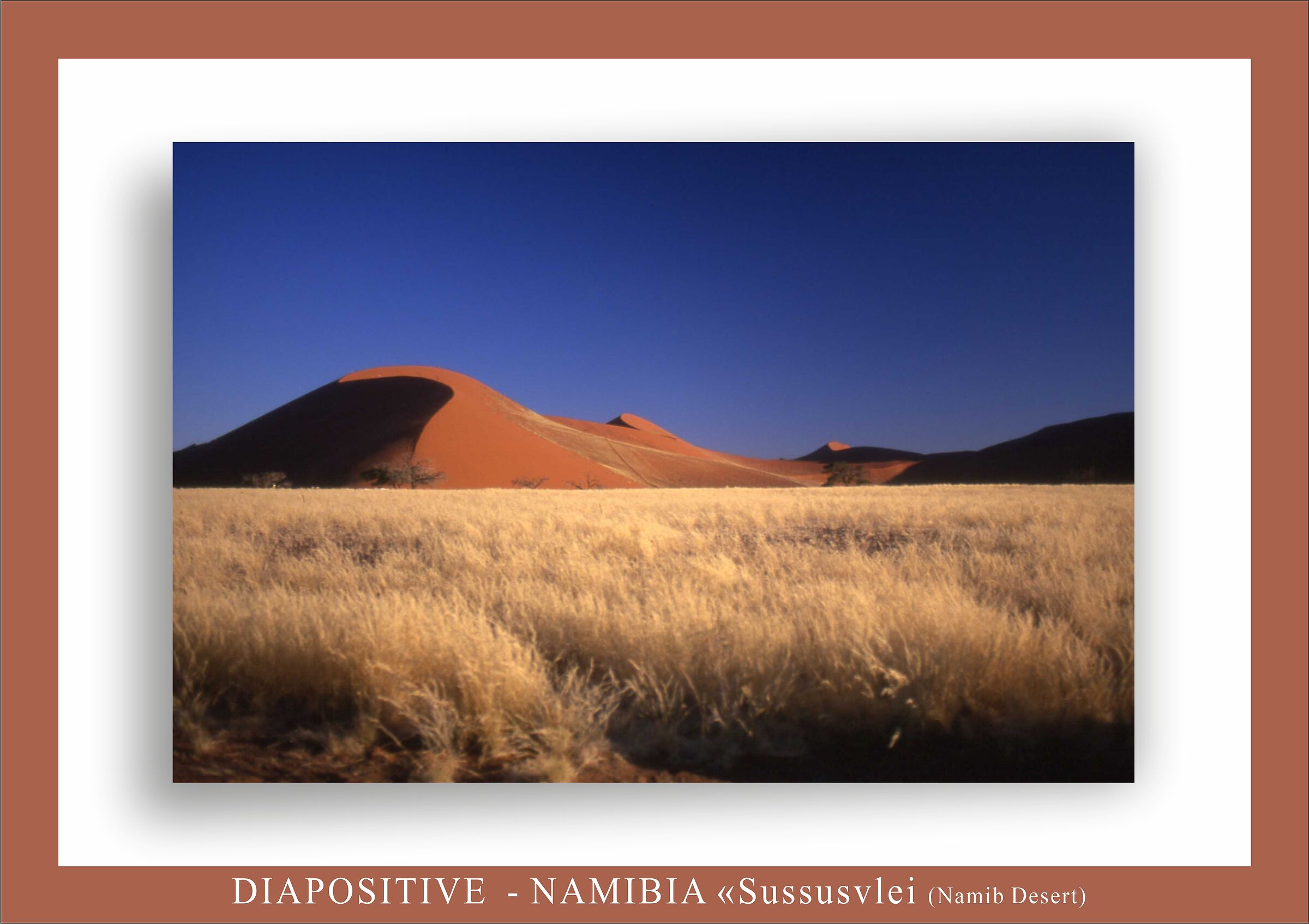 in the heart of namib
