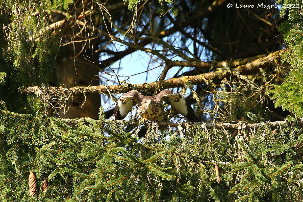 Pronta alla partenza