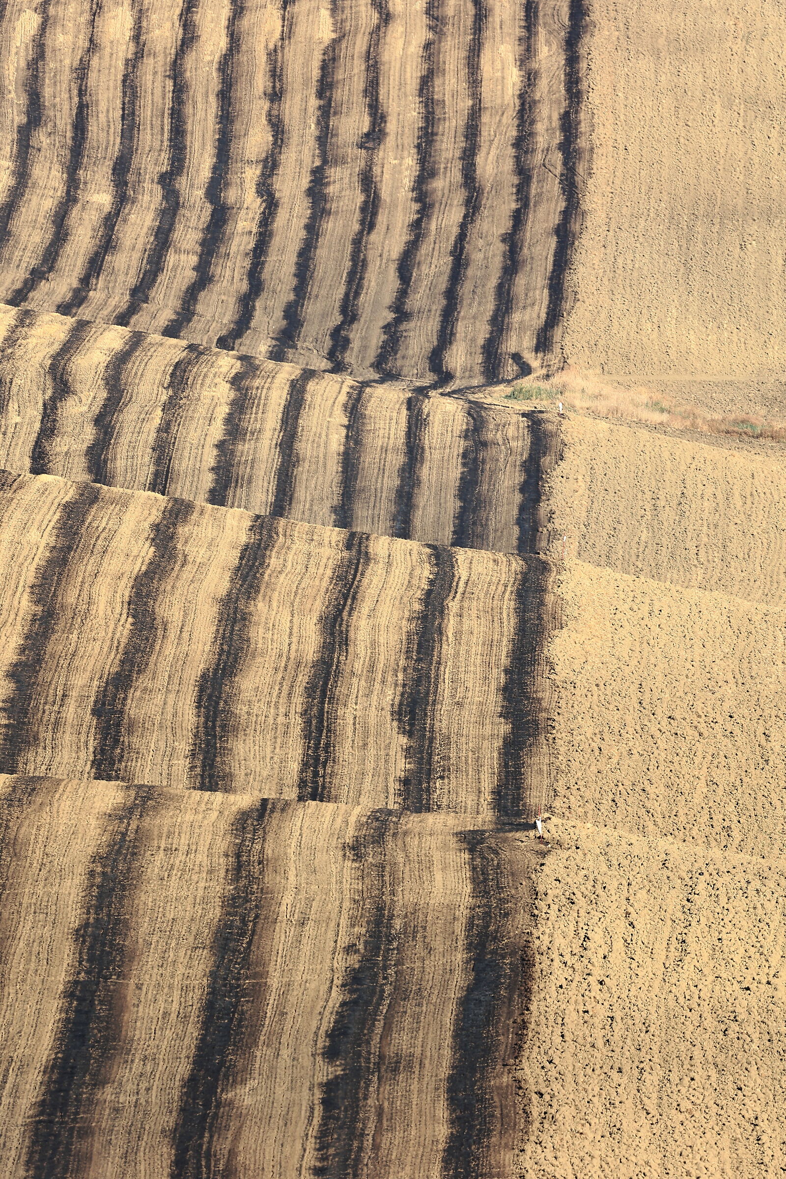 Bruciatura delle stoppie