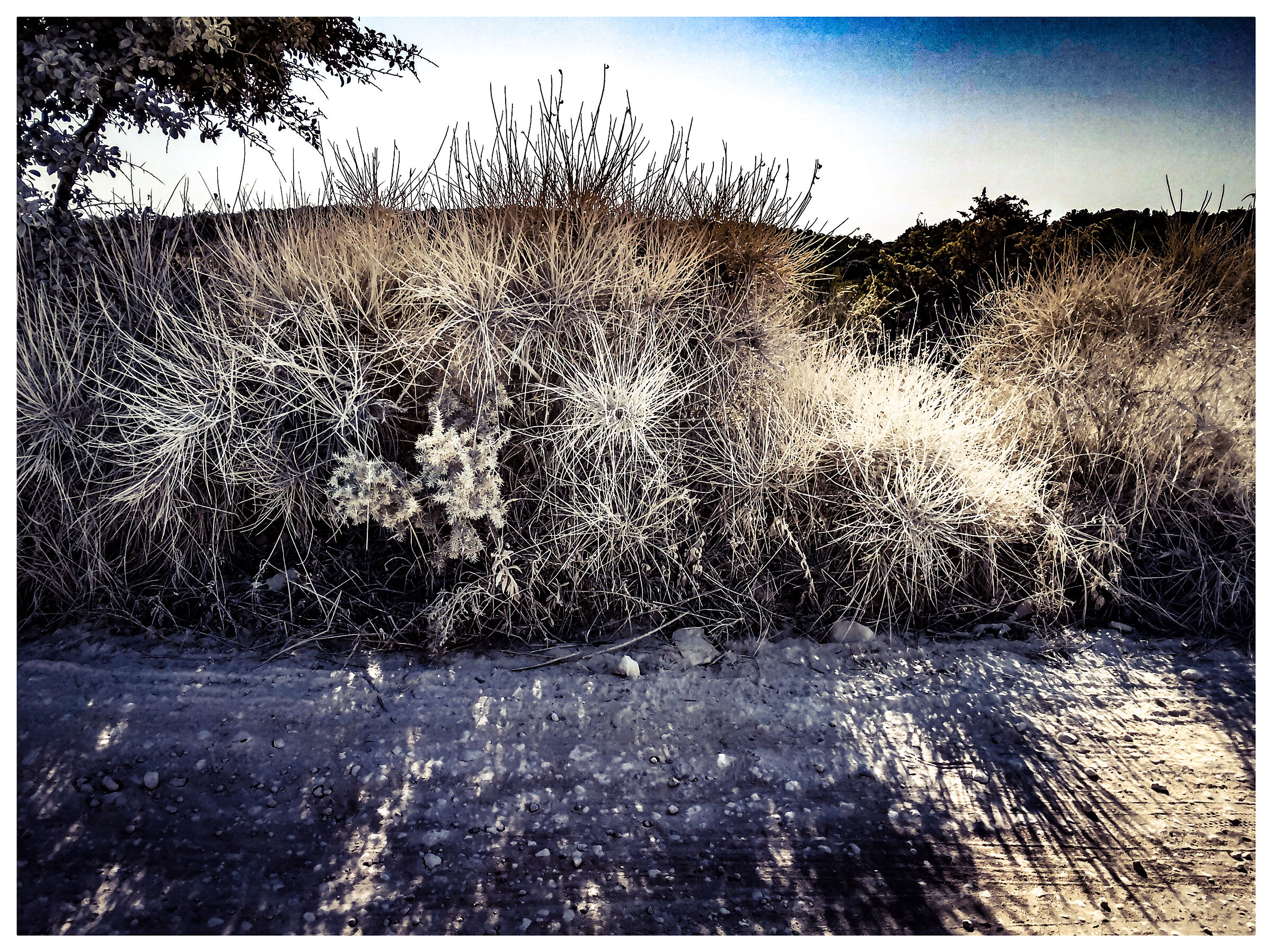 Effect of dust