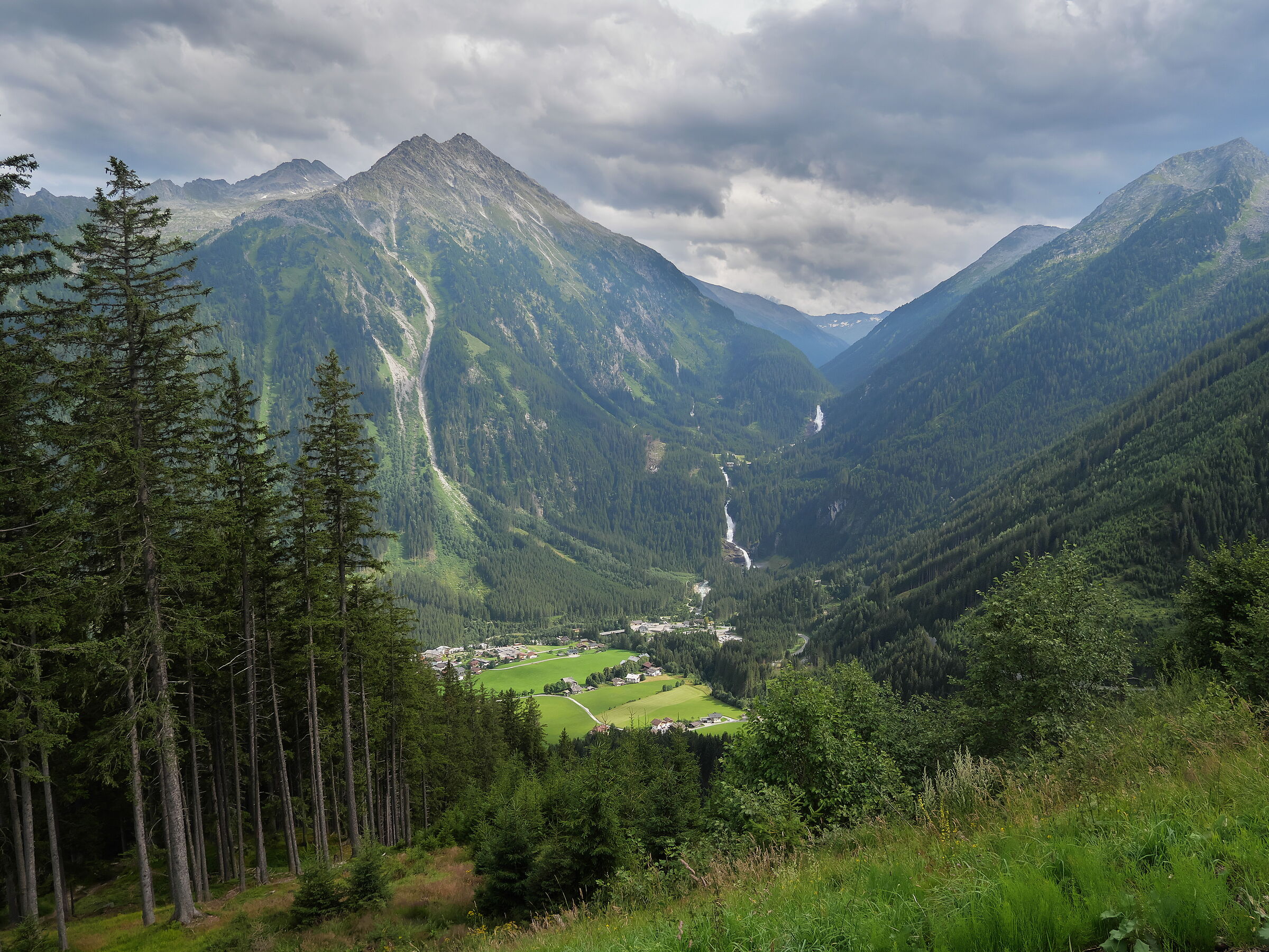 Come, there is a road in the woods