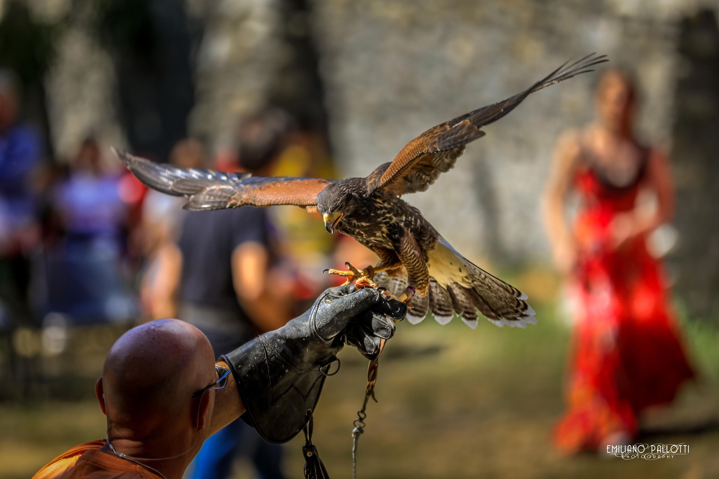 Incontro tra amici fidati.