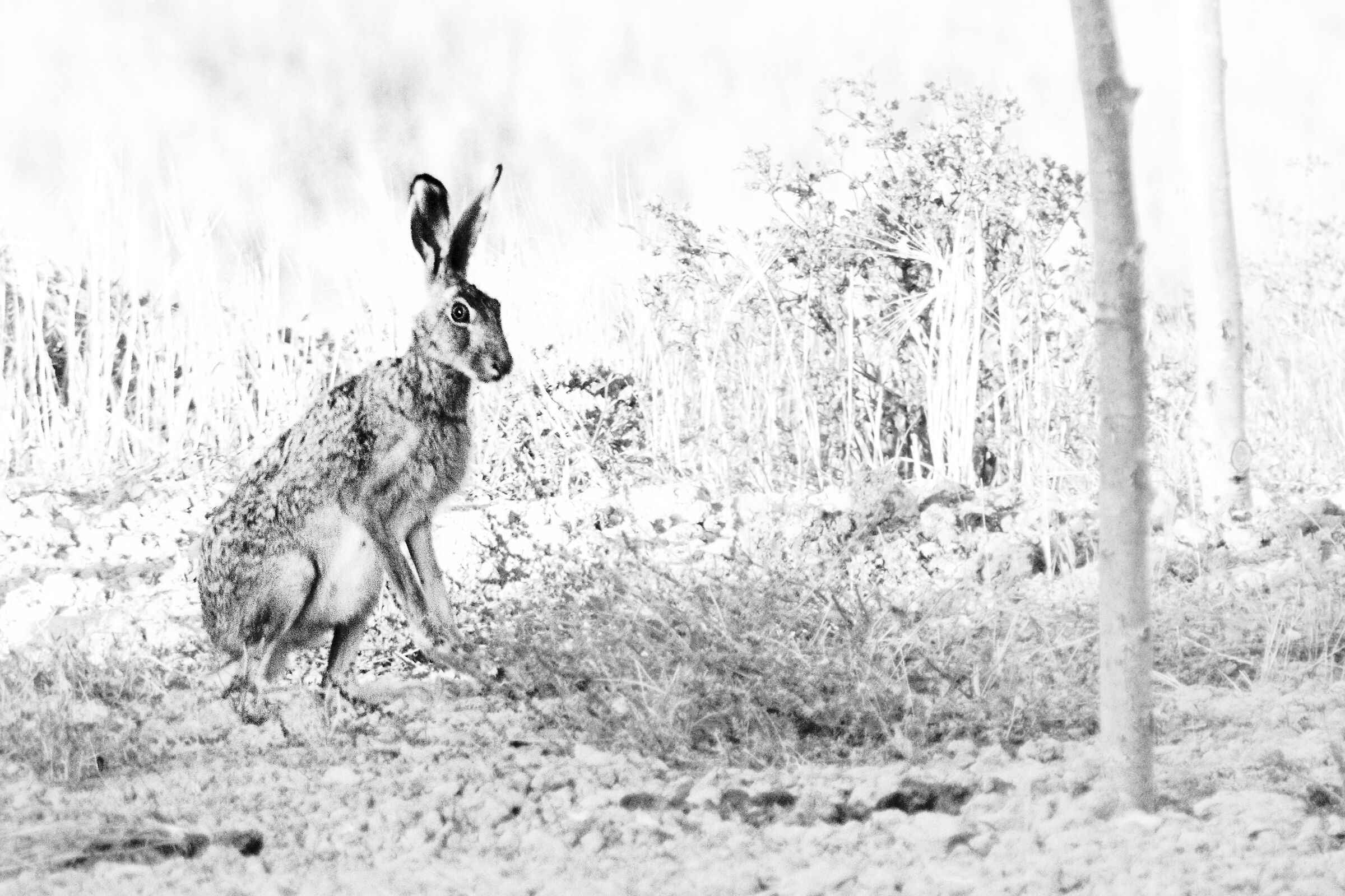 All'alba tra sogno e realtà