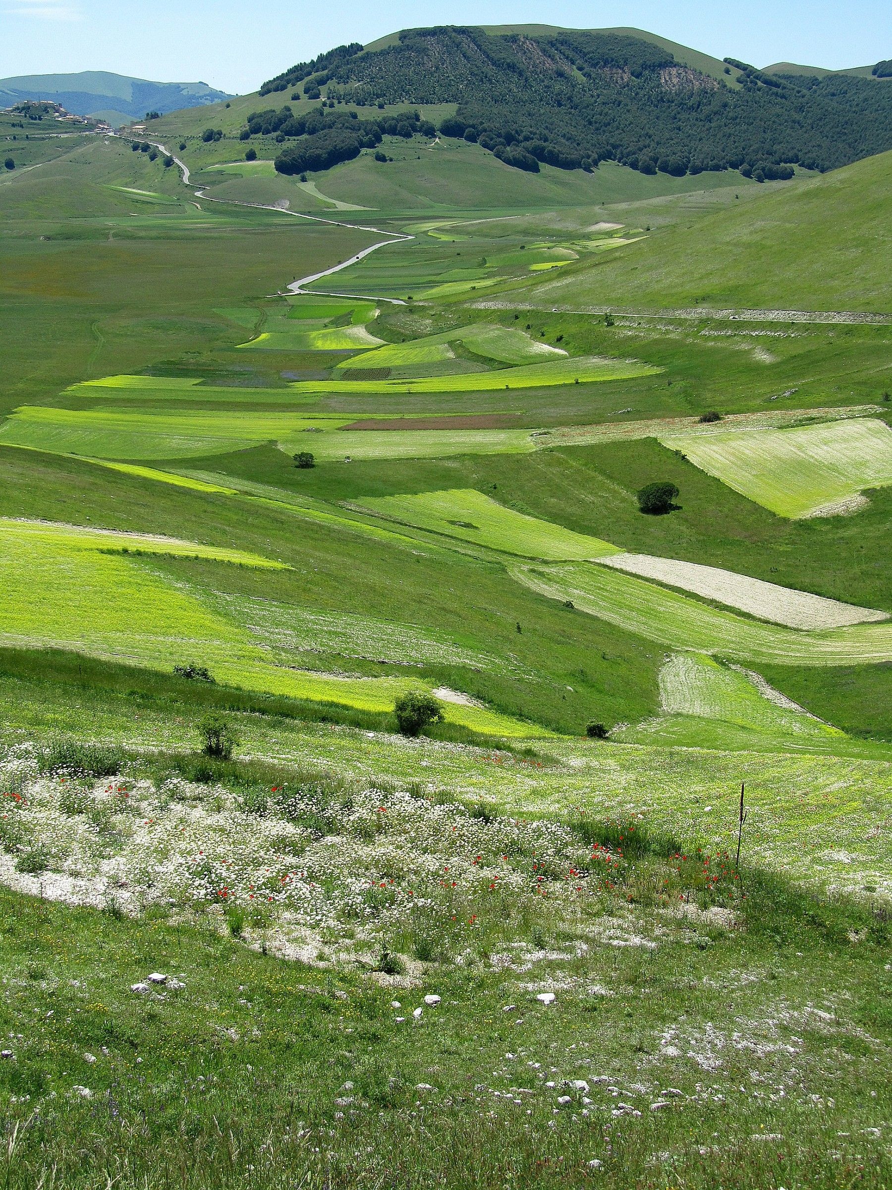 La piana di Castelluccio di Norcia