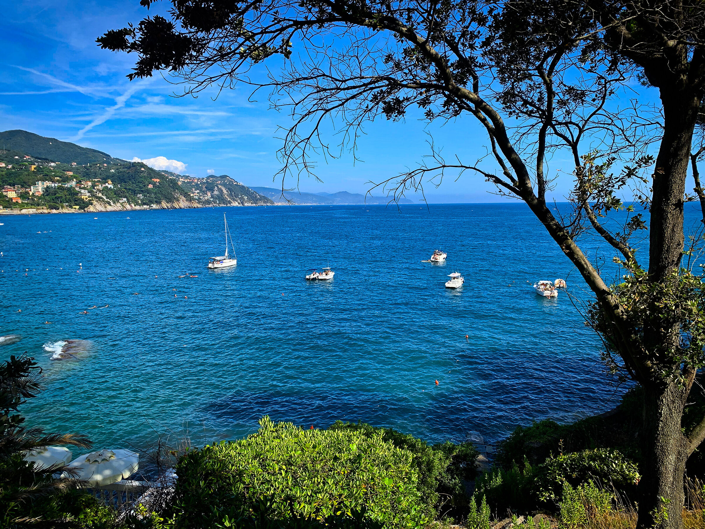 Barche a Rapallo