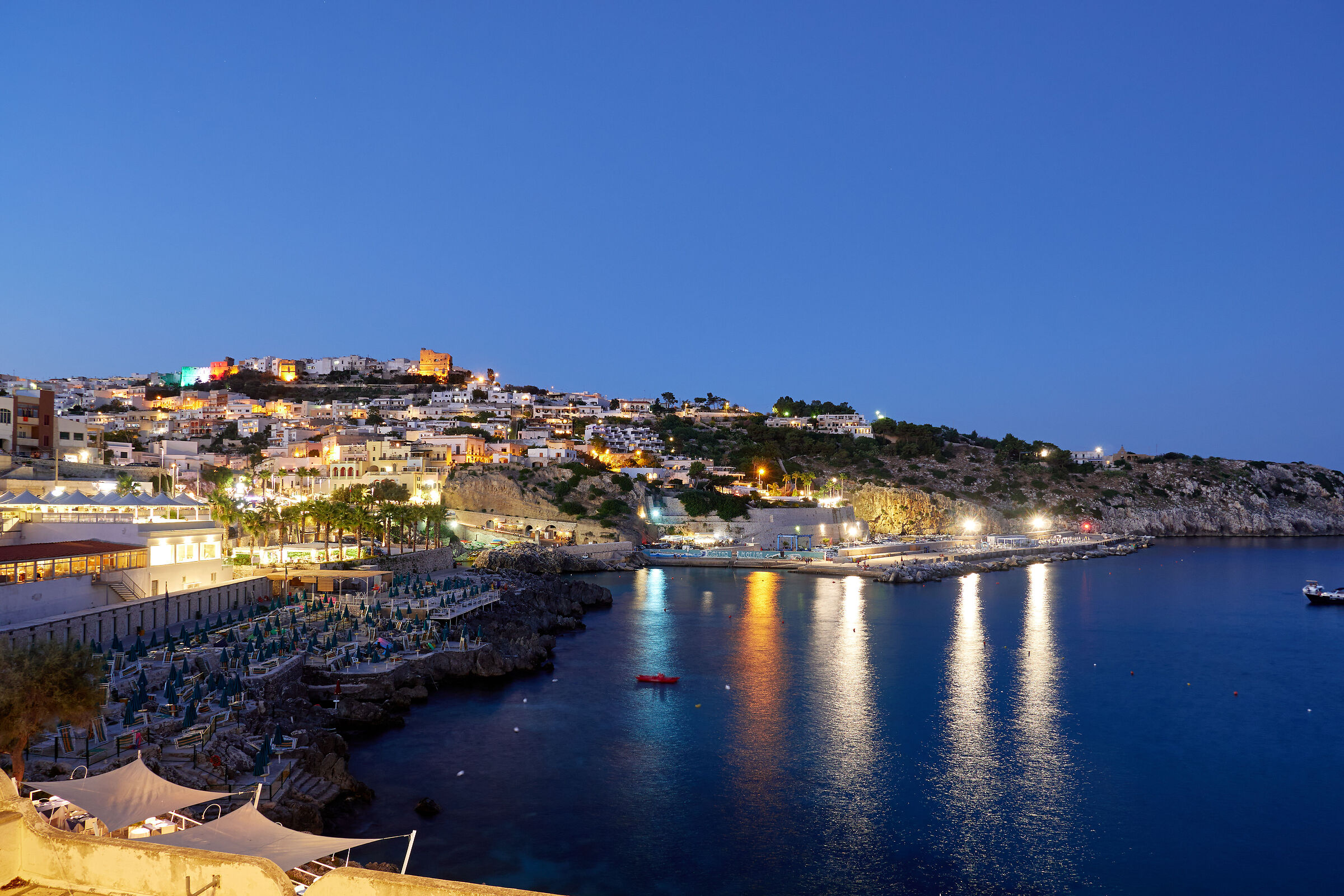 Castro (LE) - Now blue on the navy.