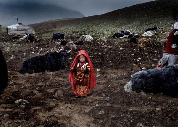 Foto
