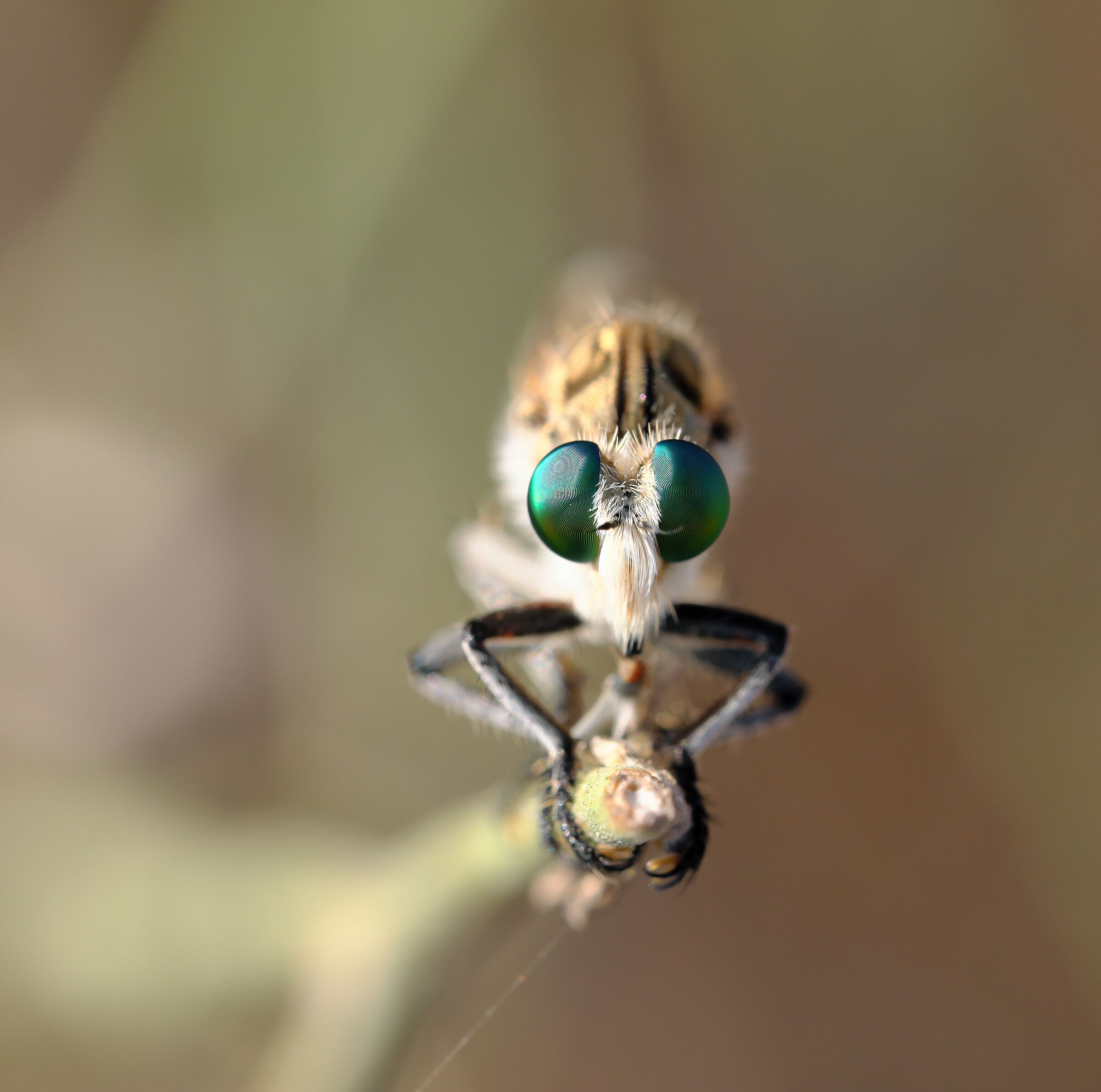 Primo piano dei sensori visivi di Top Gun