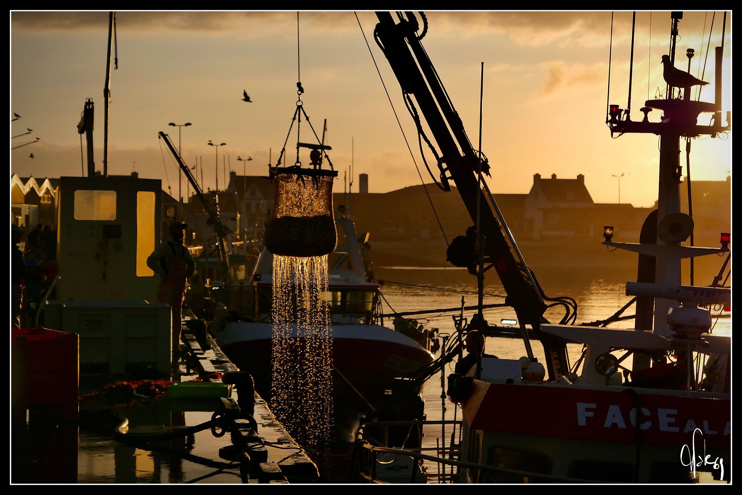 Les pecheurs 2