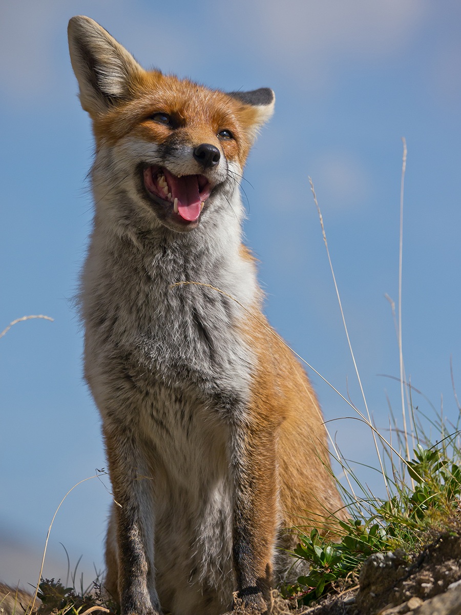 Il sole bacia i belli !!!