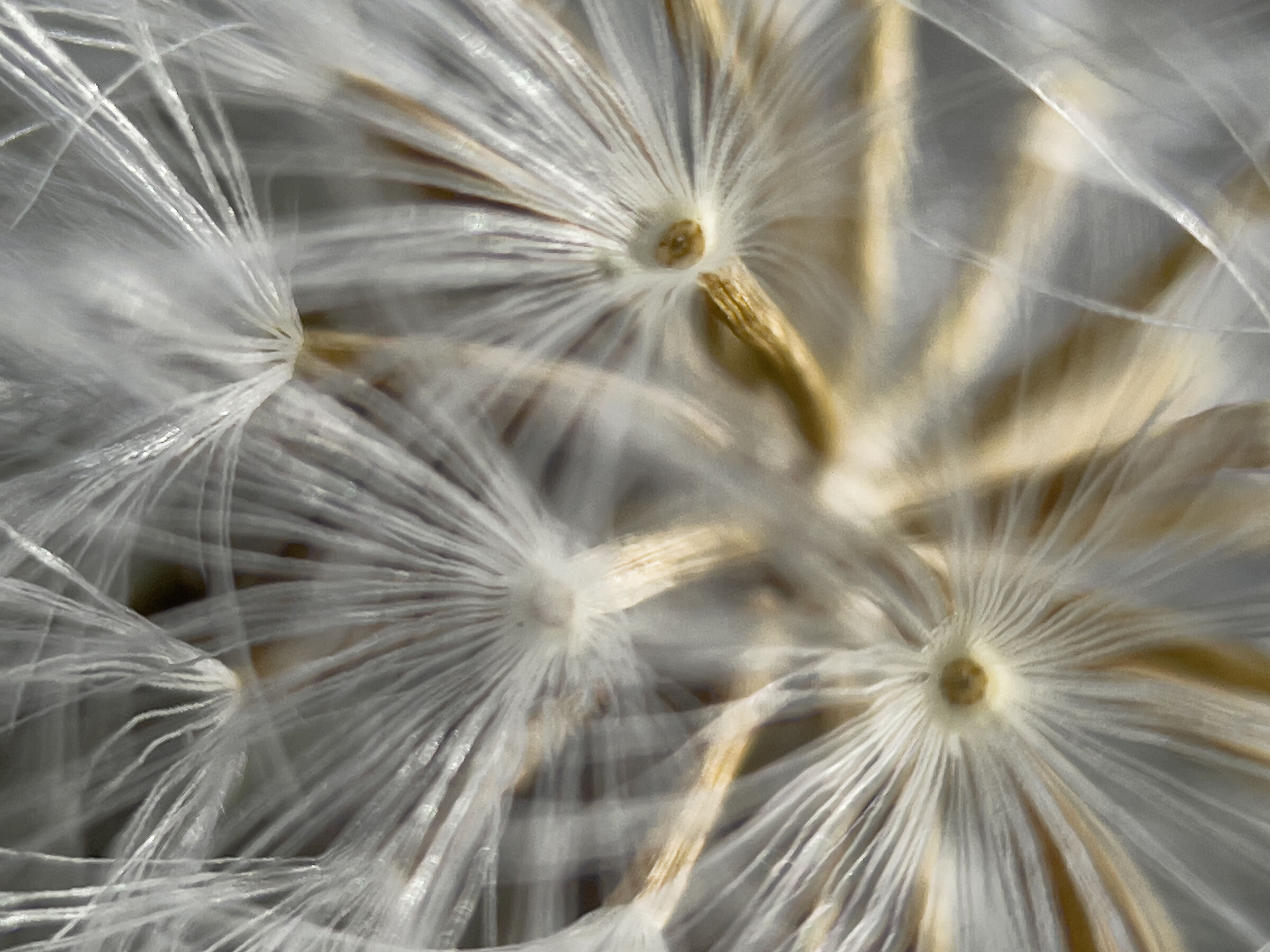 Blowing against the wind
