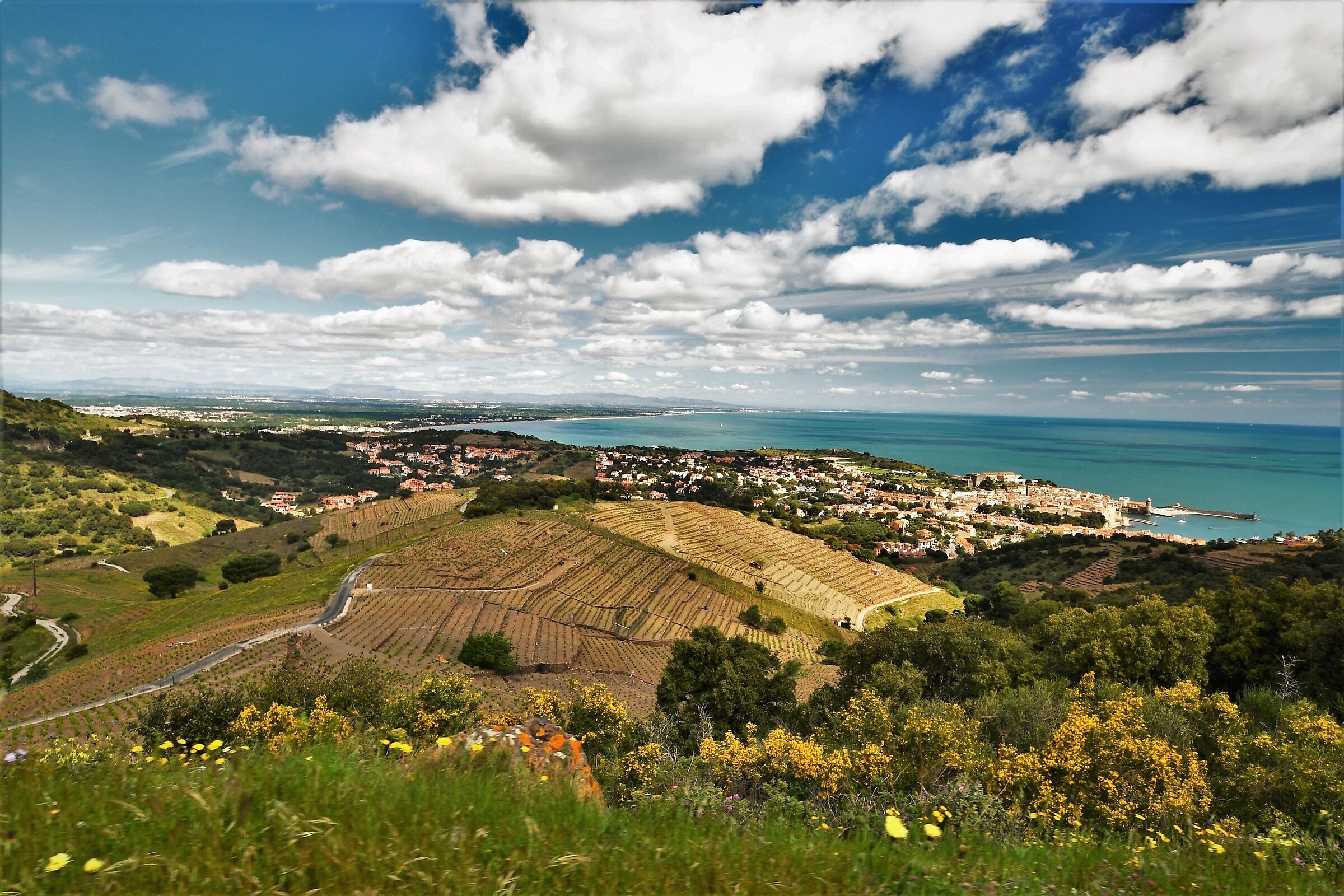the village of Colliure