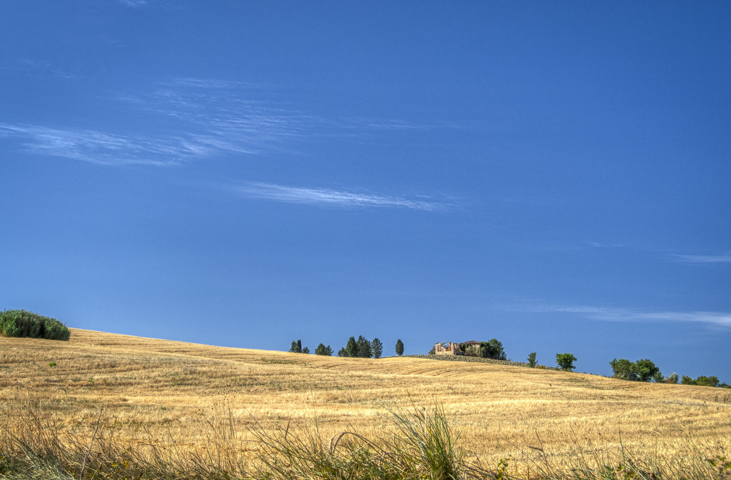 Countryside near San Gimignano