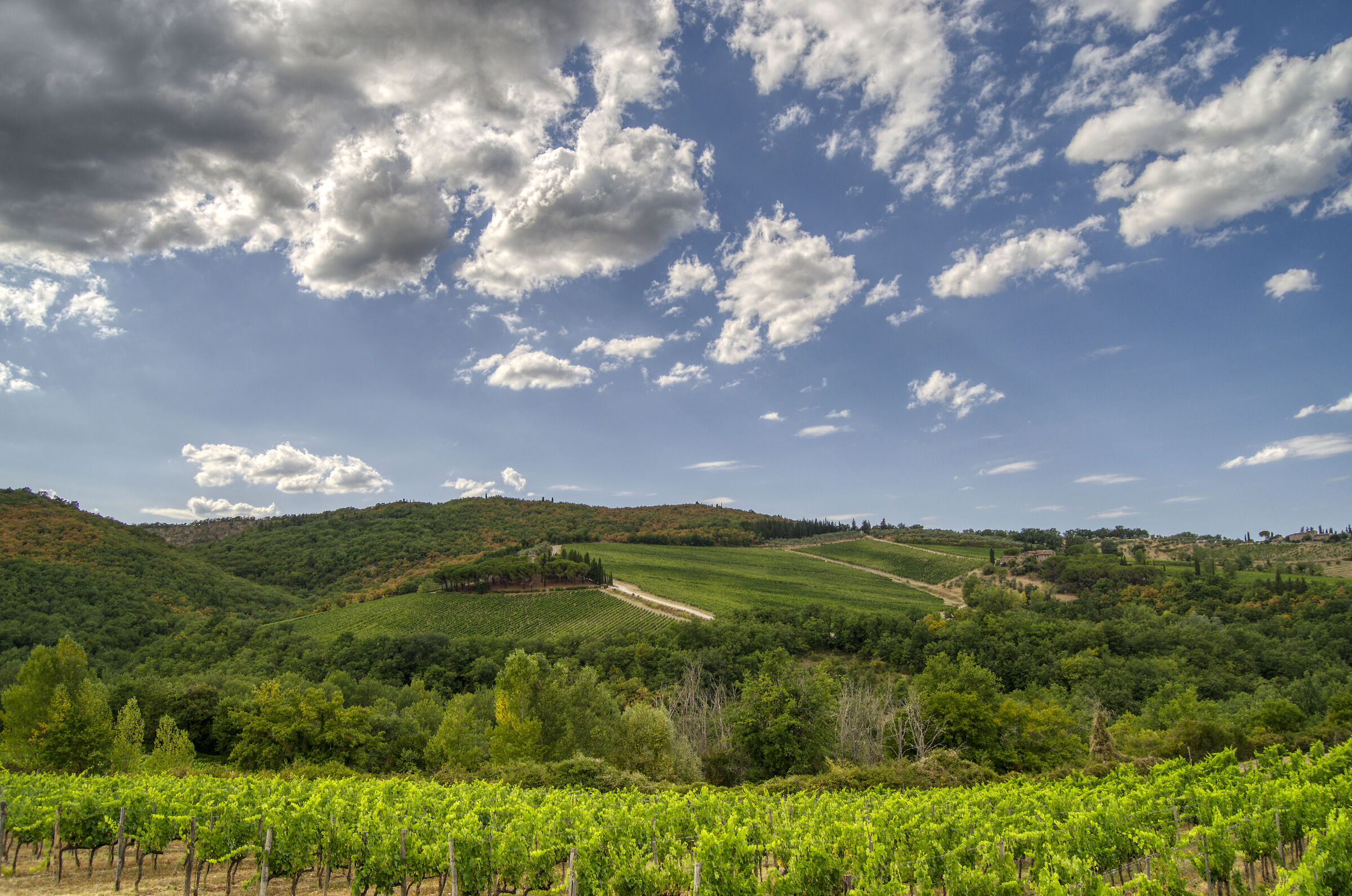 Chianti Hills - 2