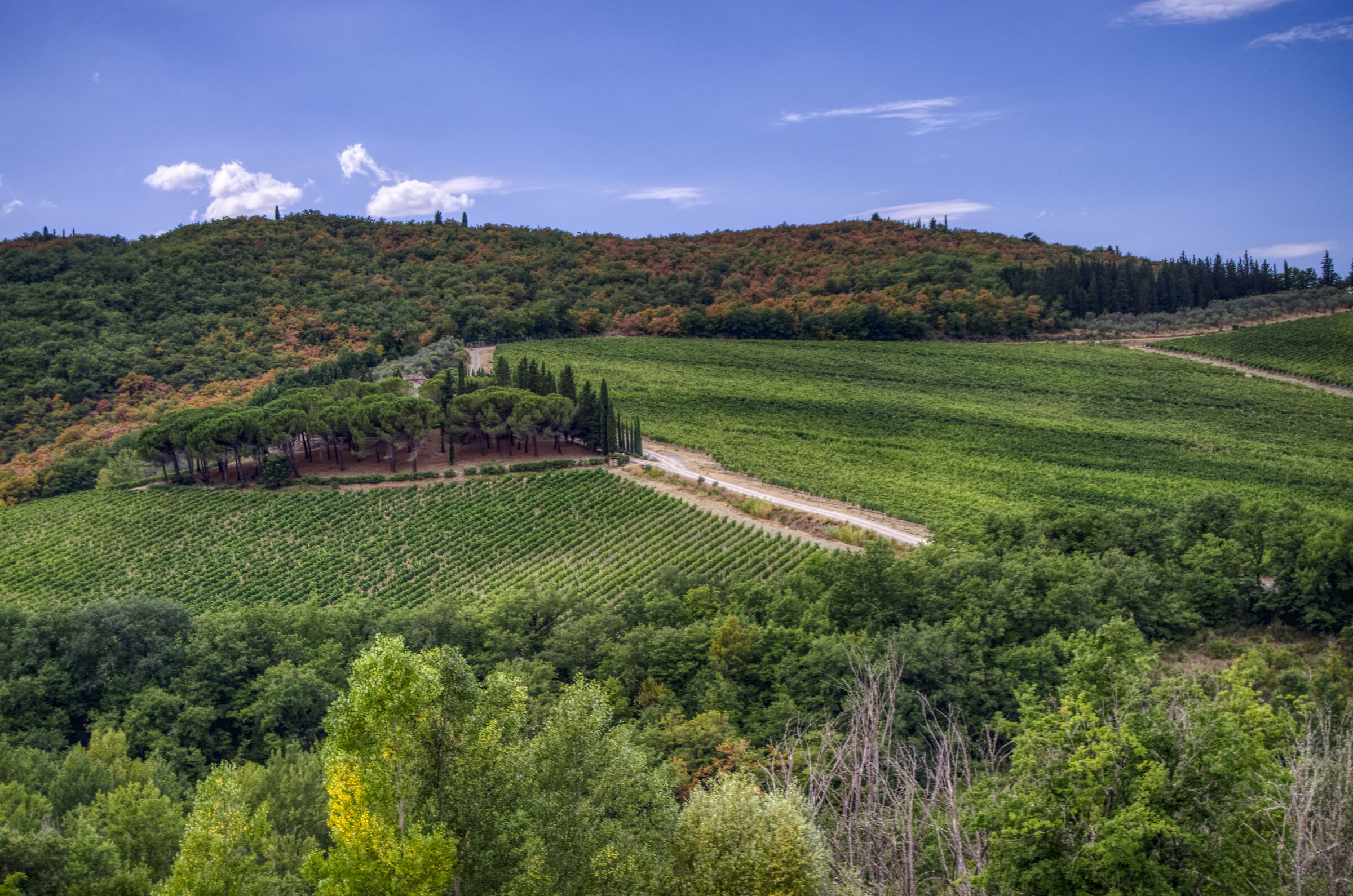 Colline del Chianti - 3