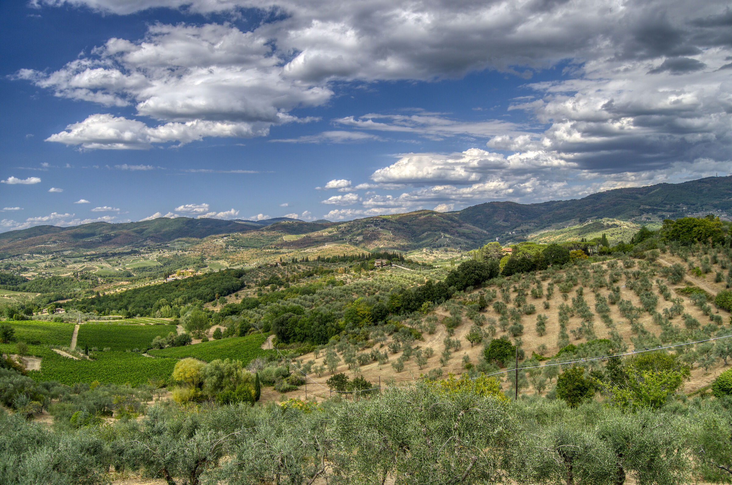 Colline del Chianti - 5