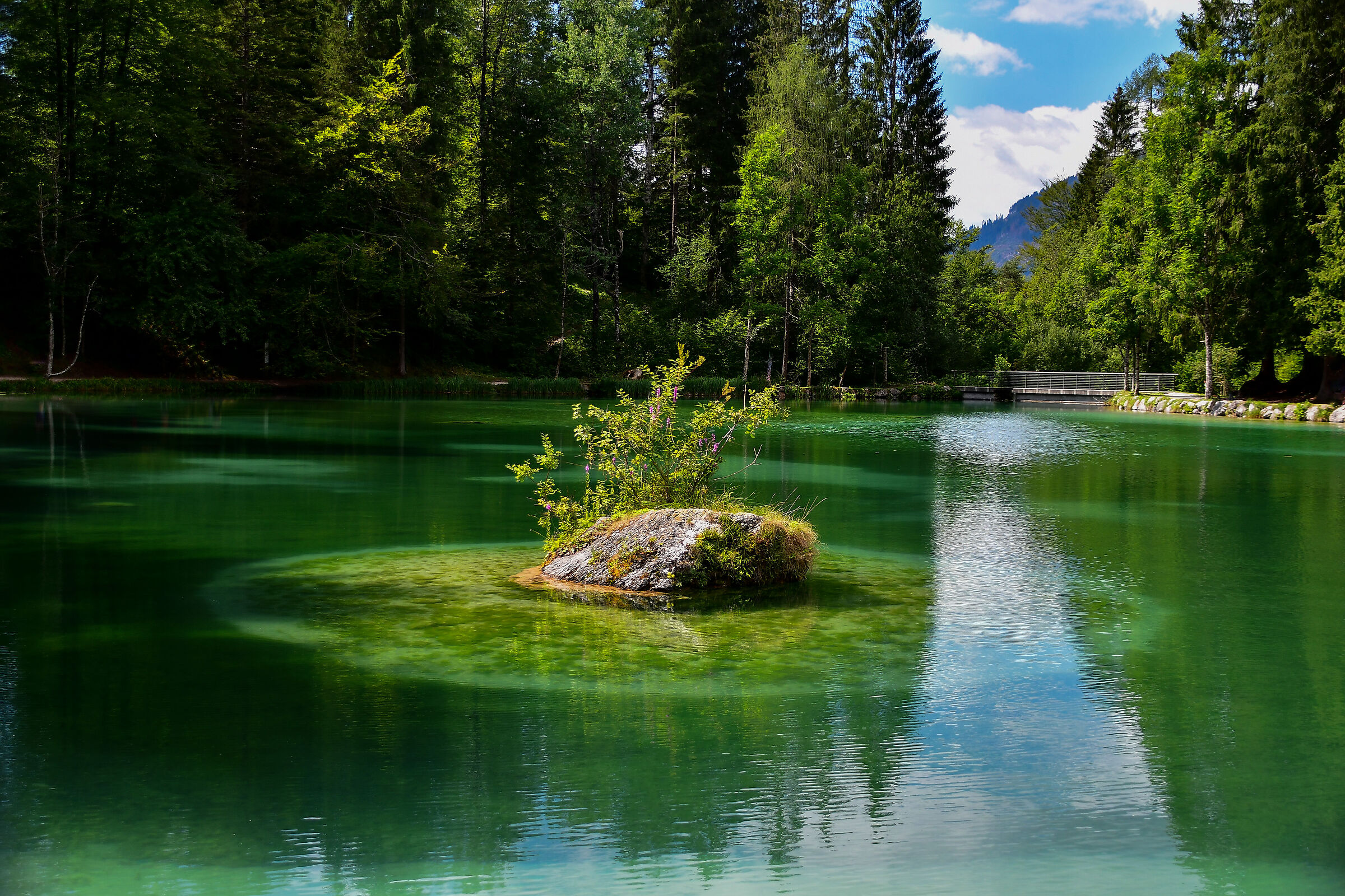 Lake Welsperg (Val Canali TN)