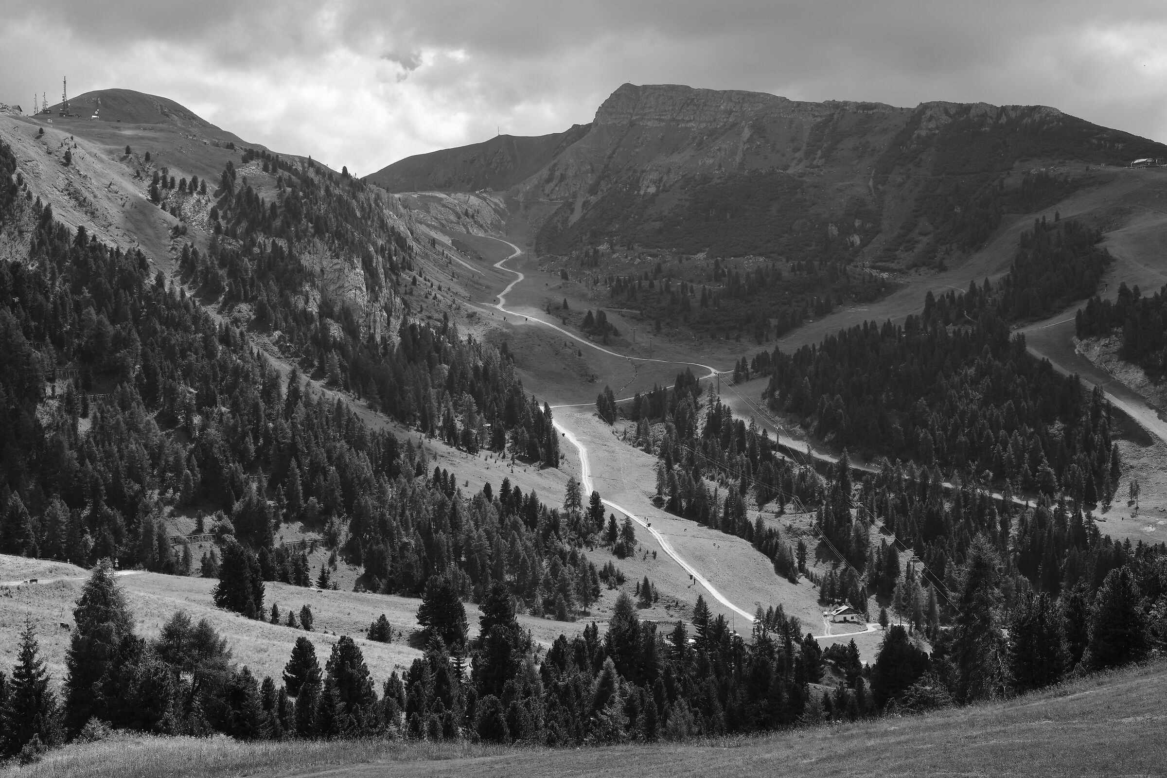 Un strada tutta in salita a Pampeago