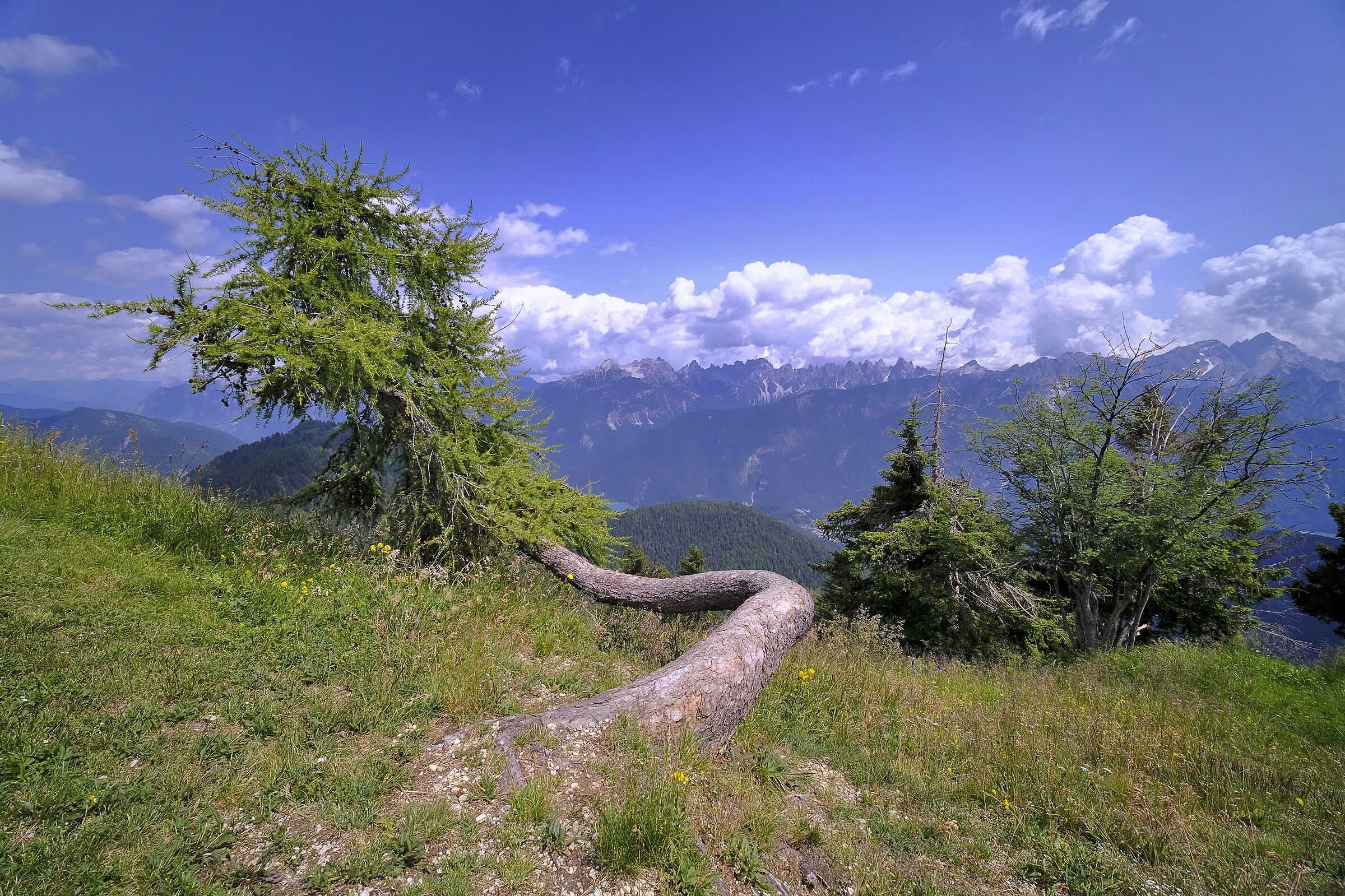 Dolomites