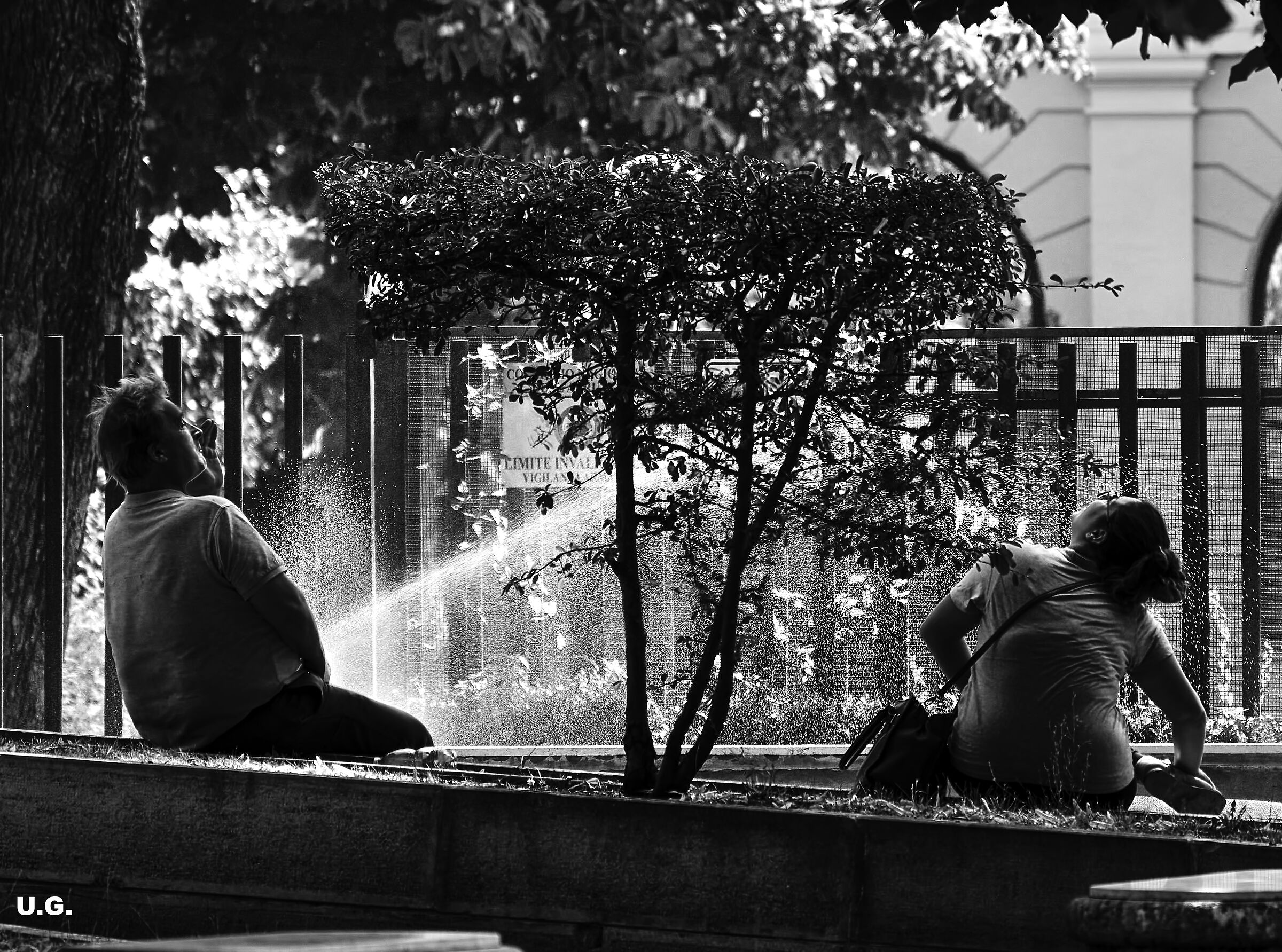 Untitled Photo