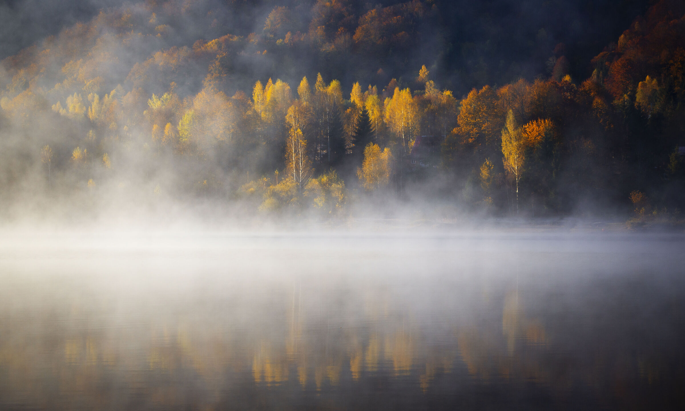 Autumn