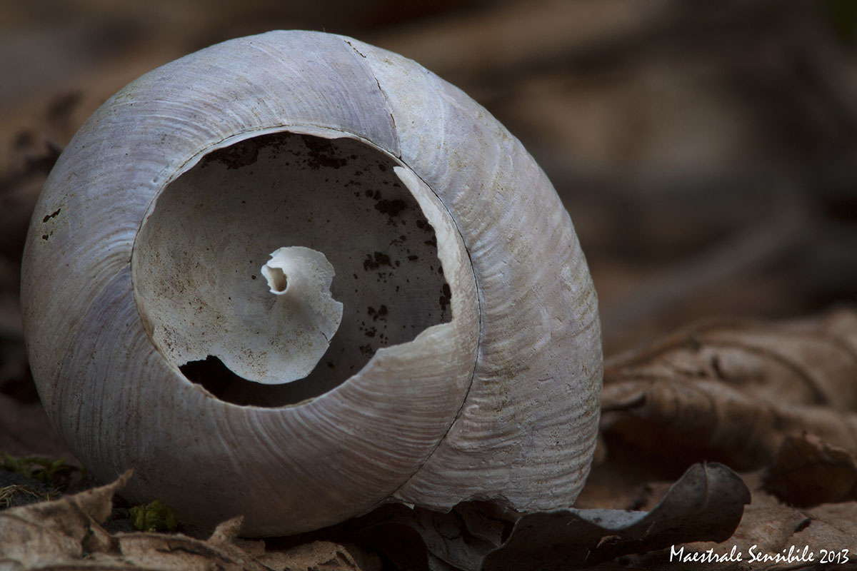 After the long winter