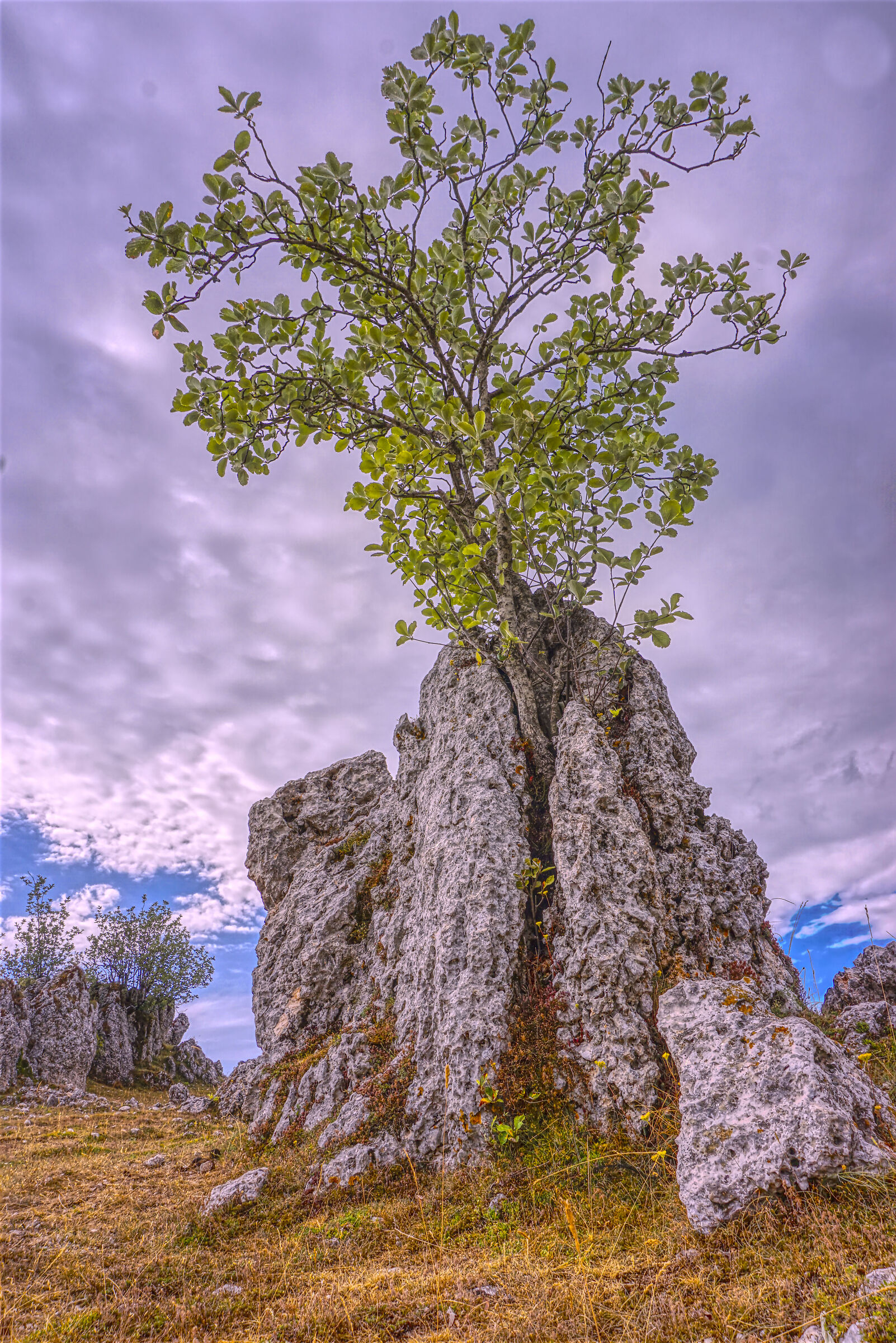 Piu forte della roccia