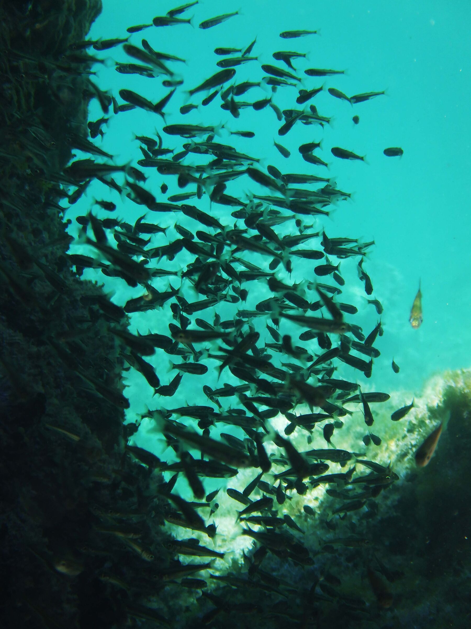 Noi eravam tra color che son sospesi...