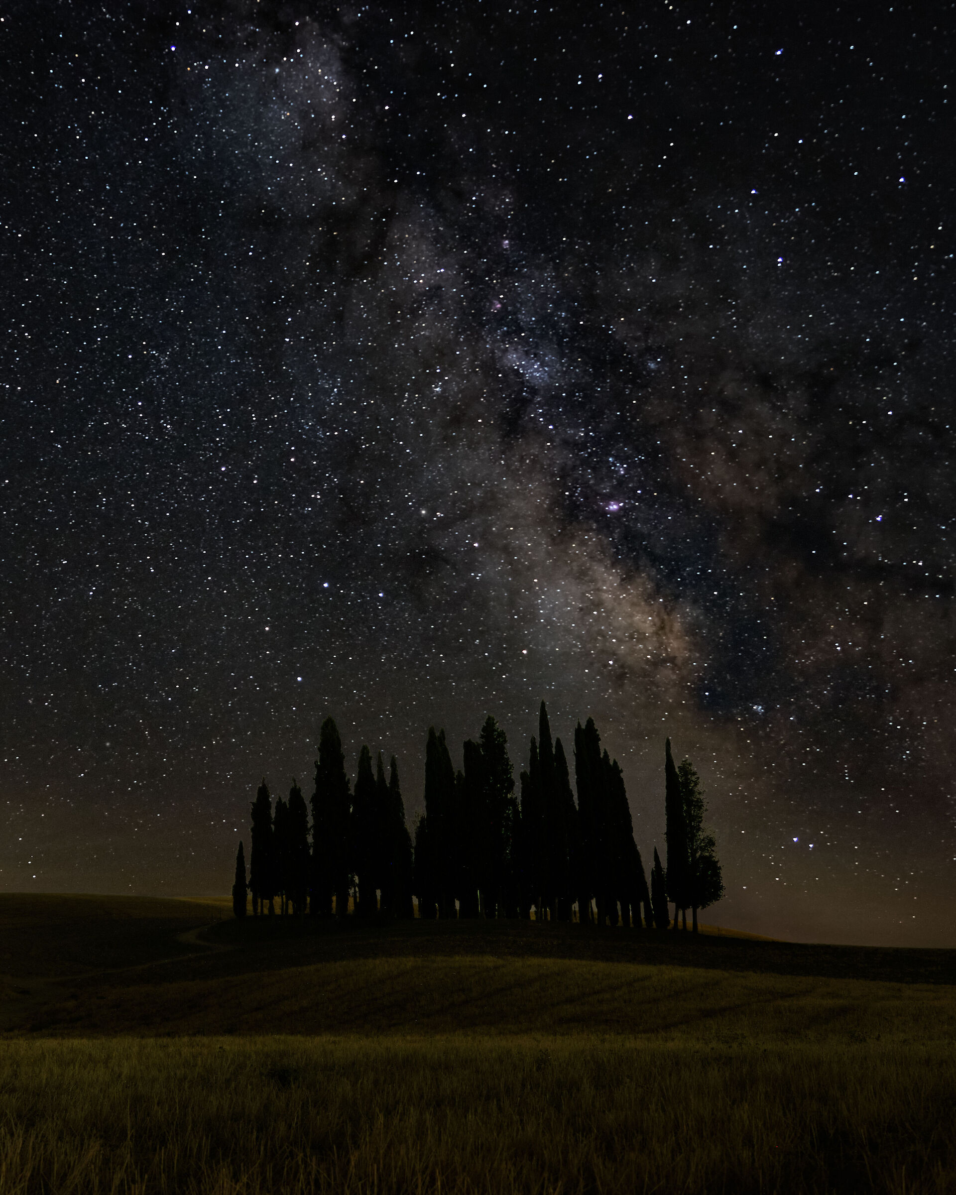 Milky way over the cypresses