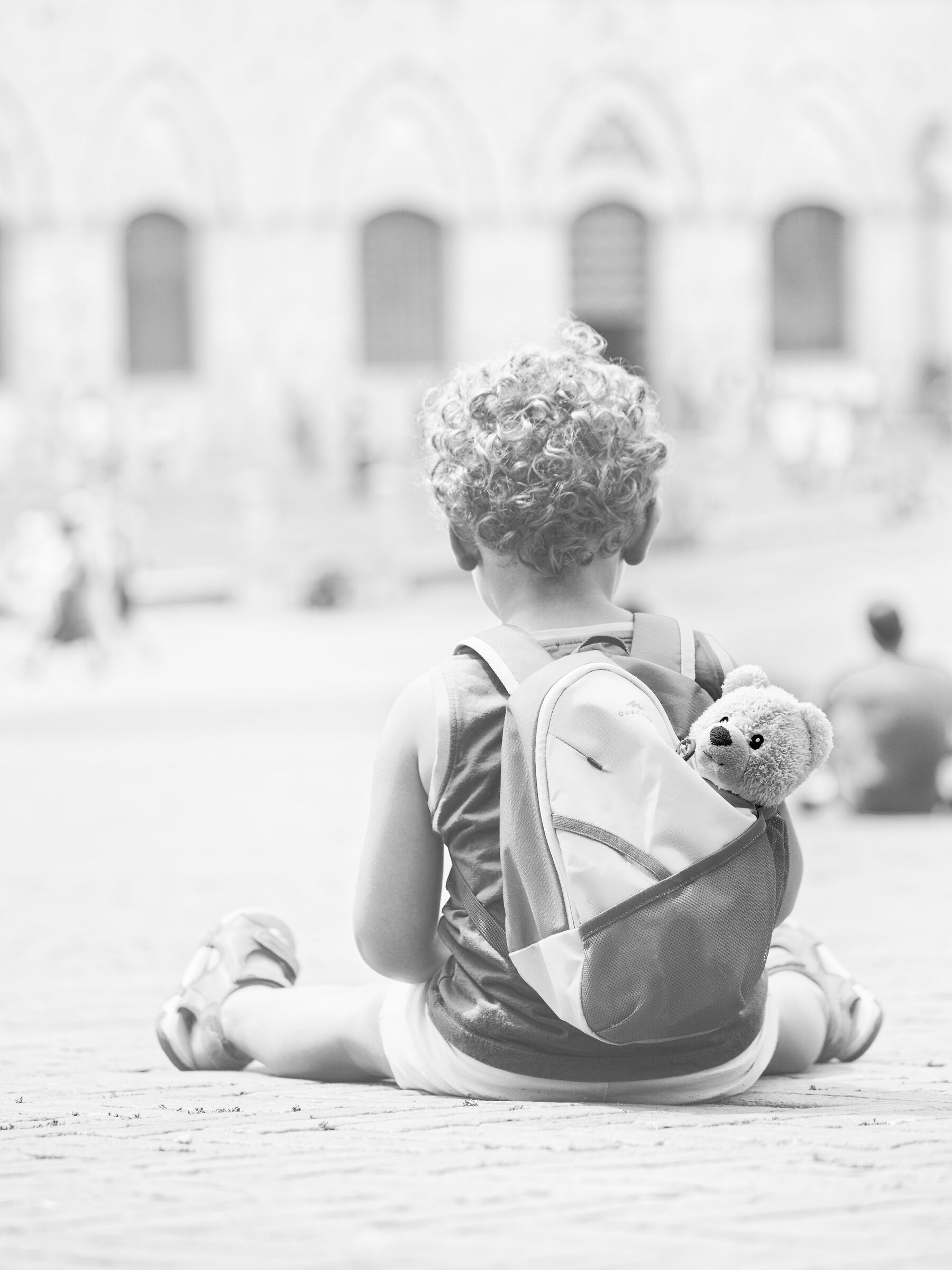 Looking at the Field (P.za of)