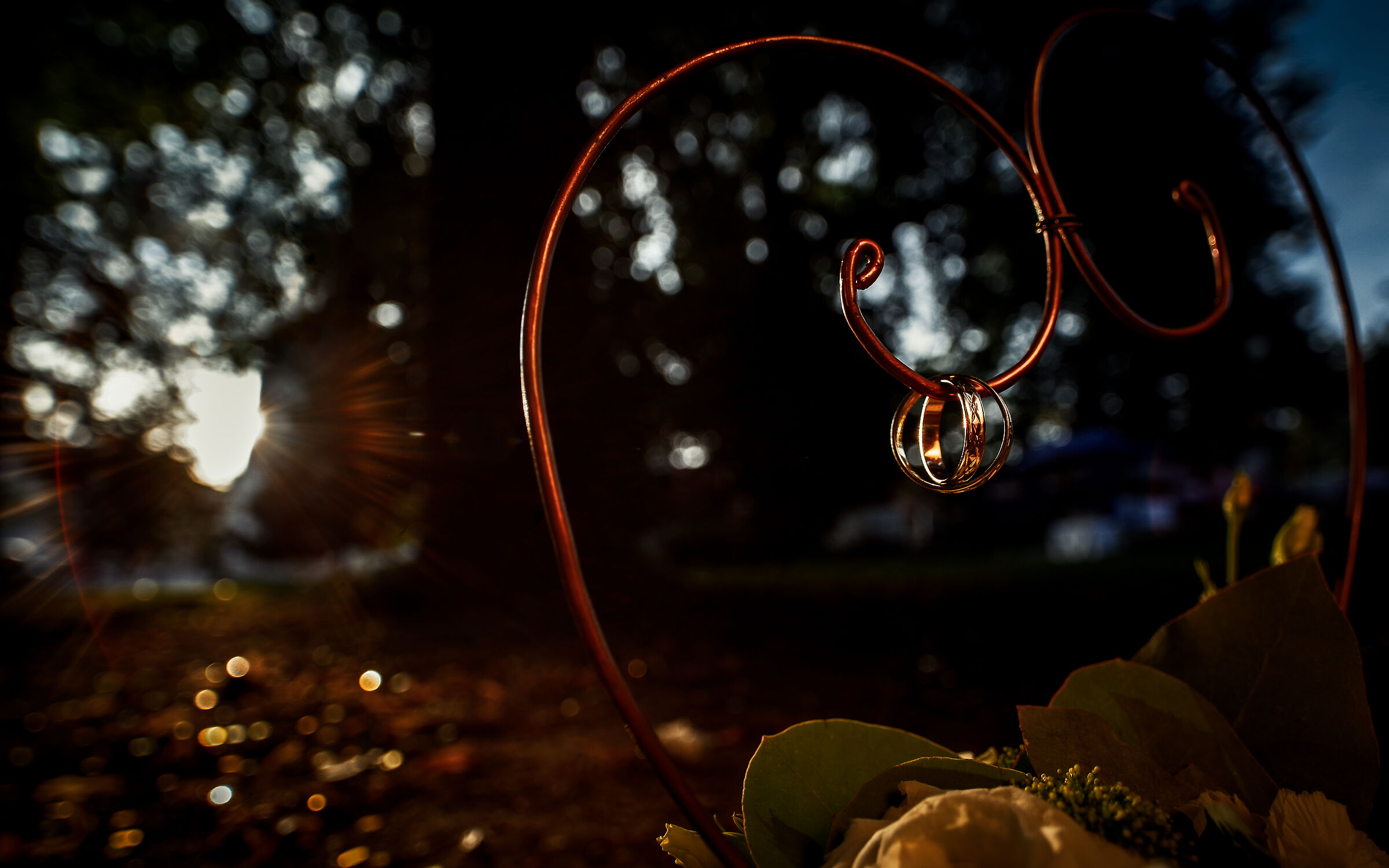 Pentax K-1 + Laowa 15/4