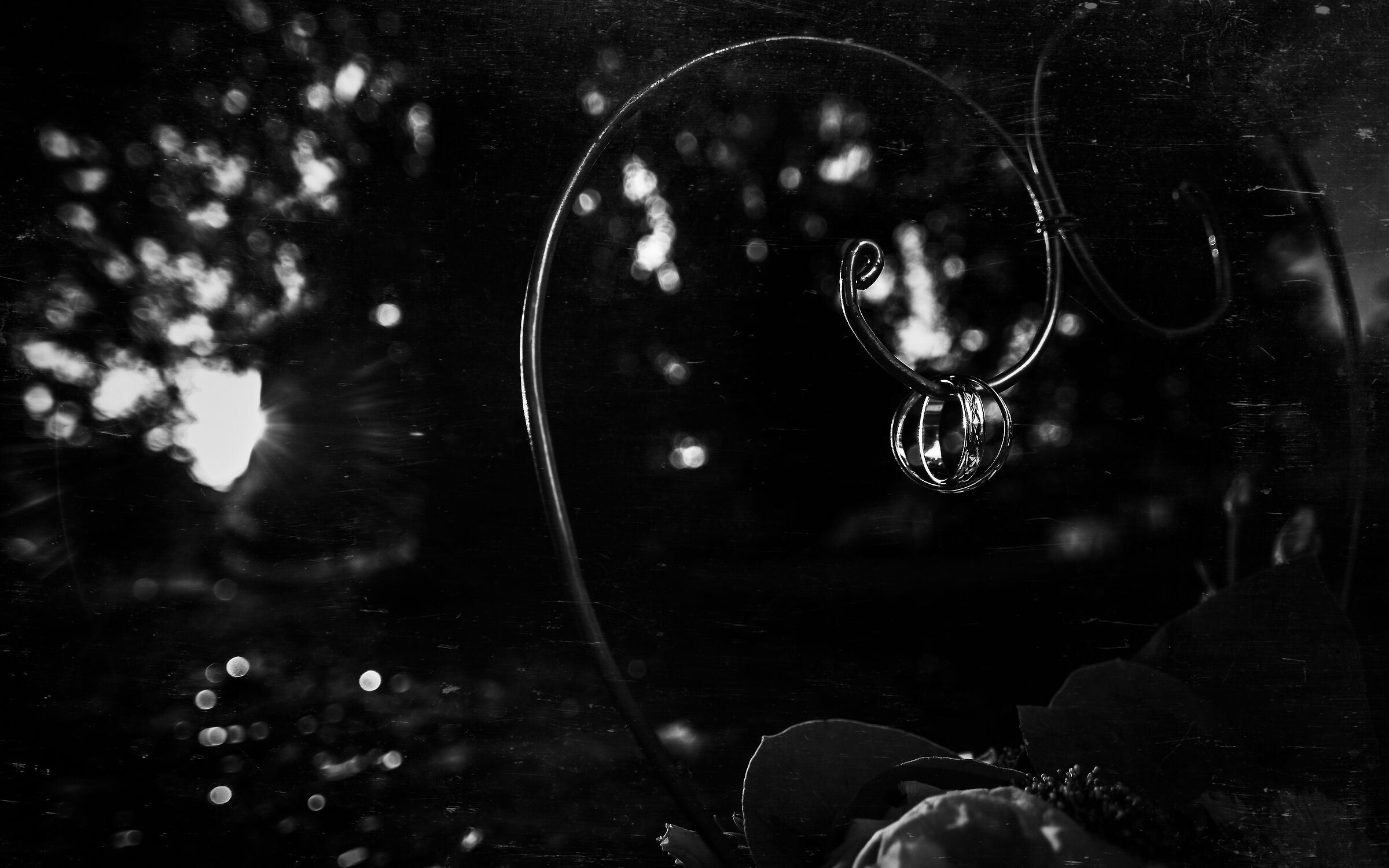 Pentax K-1 + Laowa 15/4