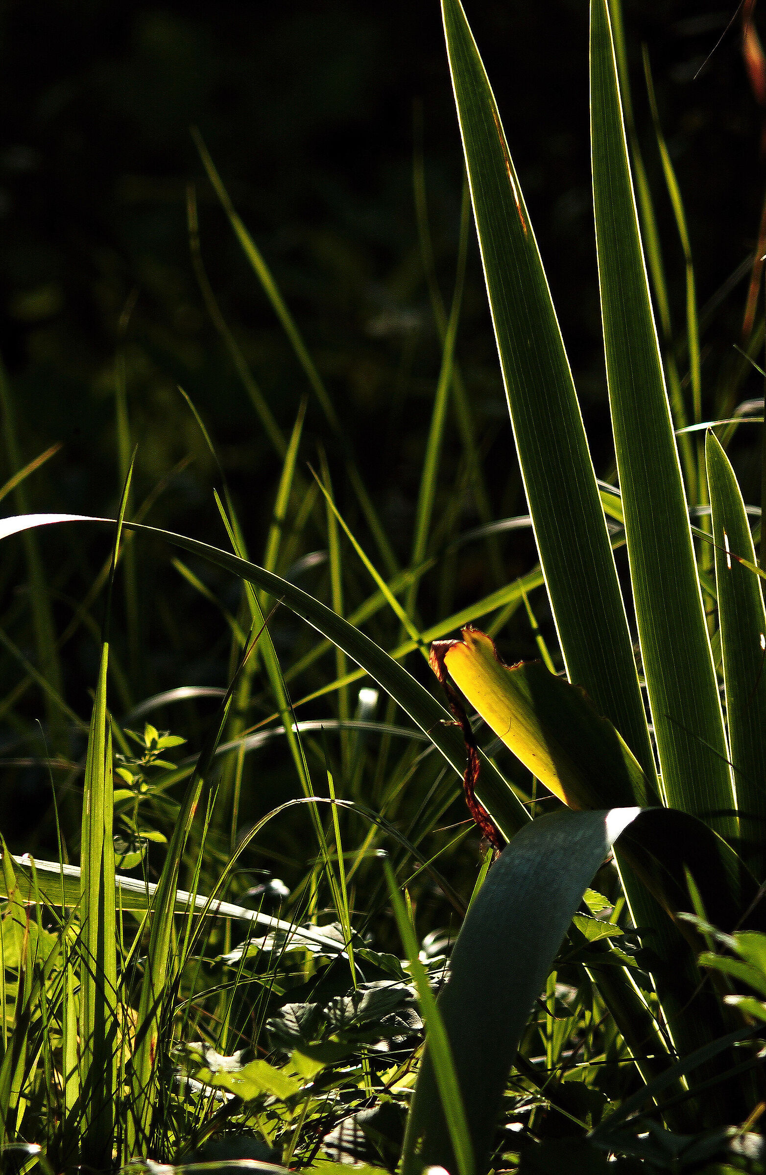 End-summer melancholy