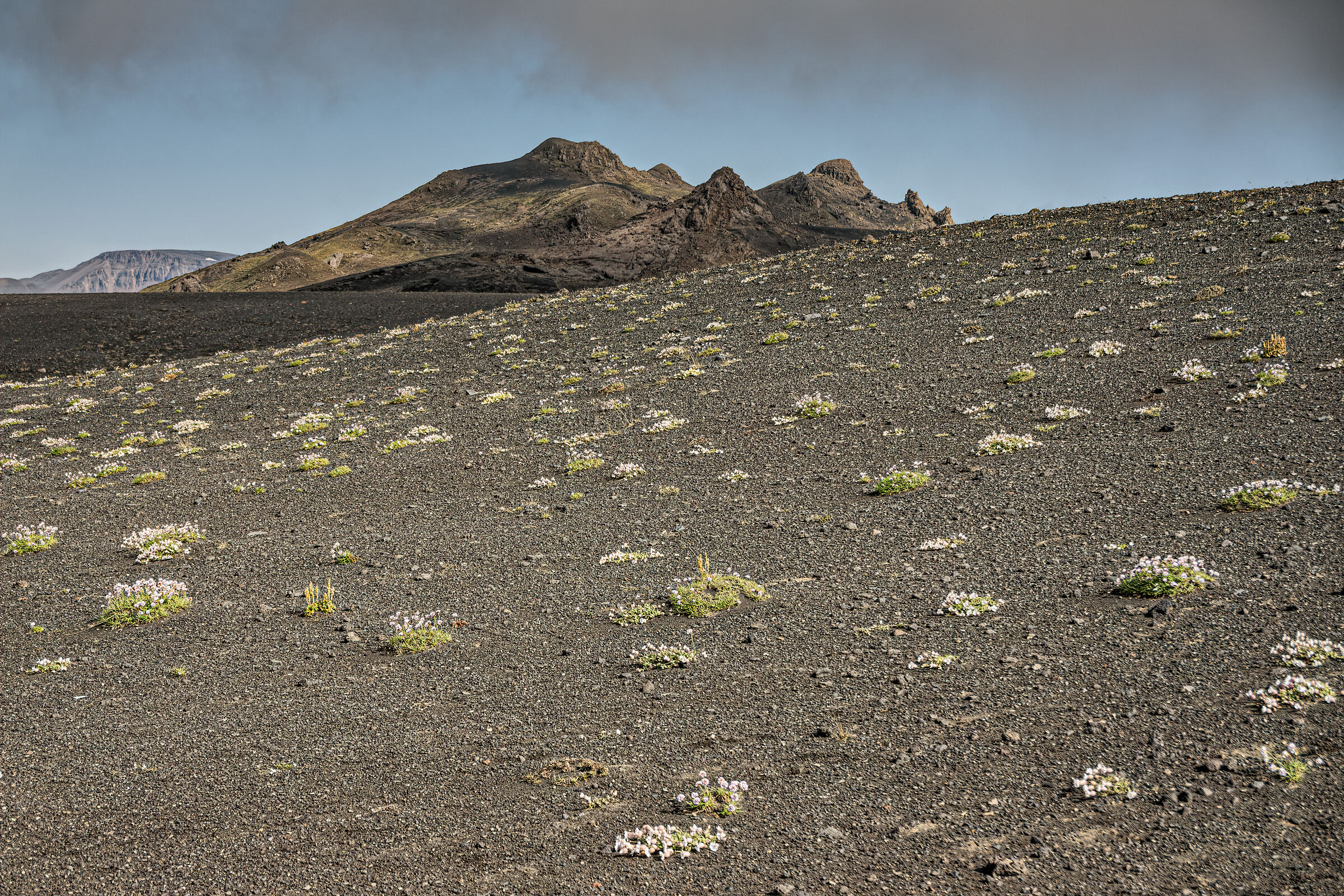 Da Alftavatn a Emstrur