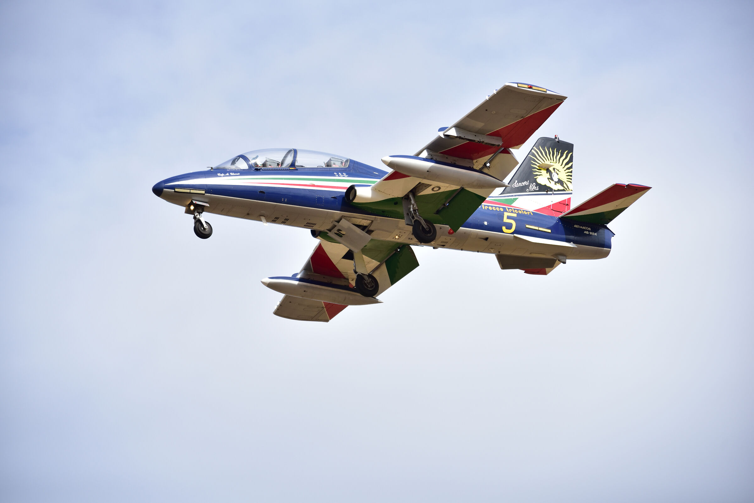 tricolor arrows on Alghero 7