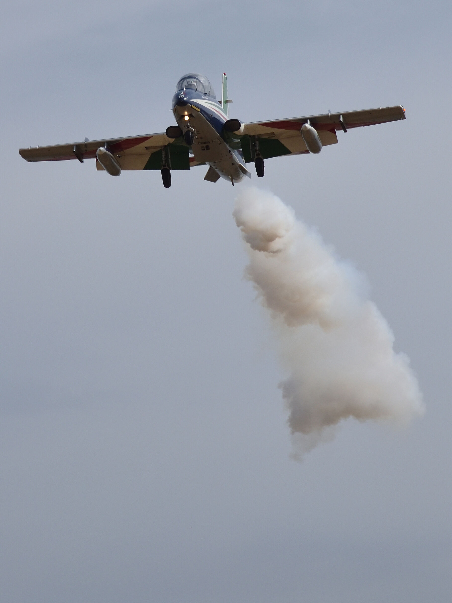 tricolor arrows on Alghero 11
