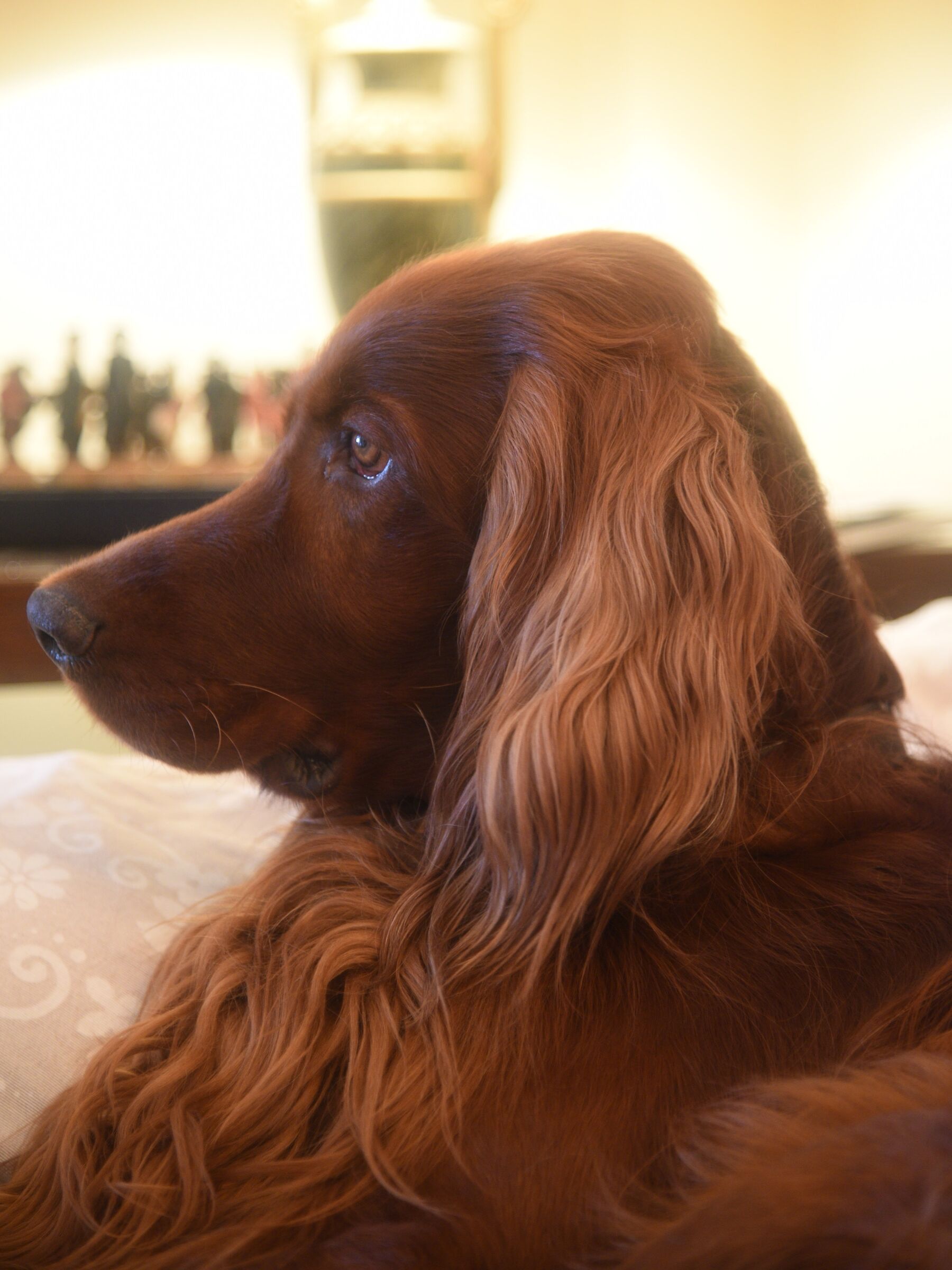 Checkmate to the king