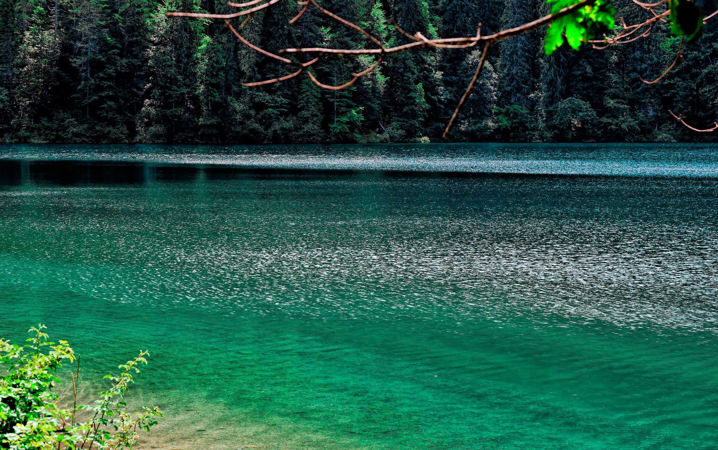 The colors of Lake Tovel