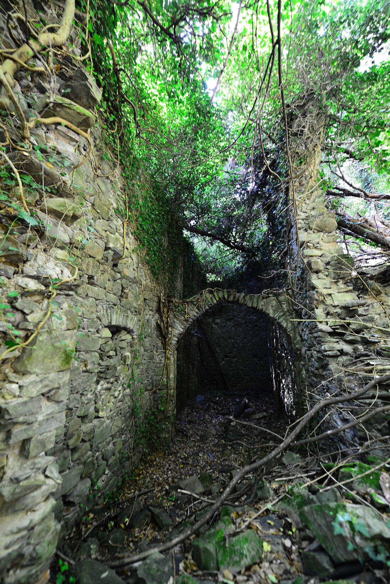 Mill in the Servola canal