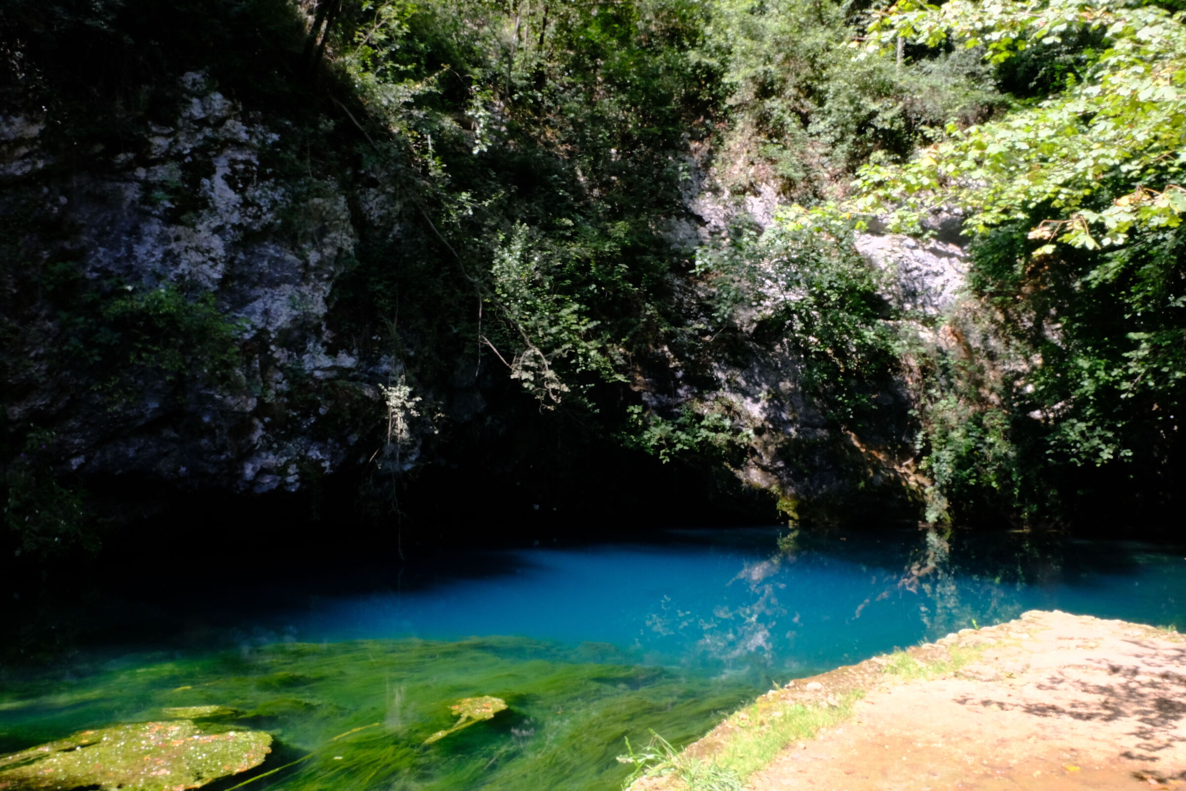 Sorgente del Gorgazzo 1